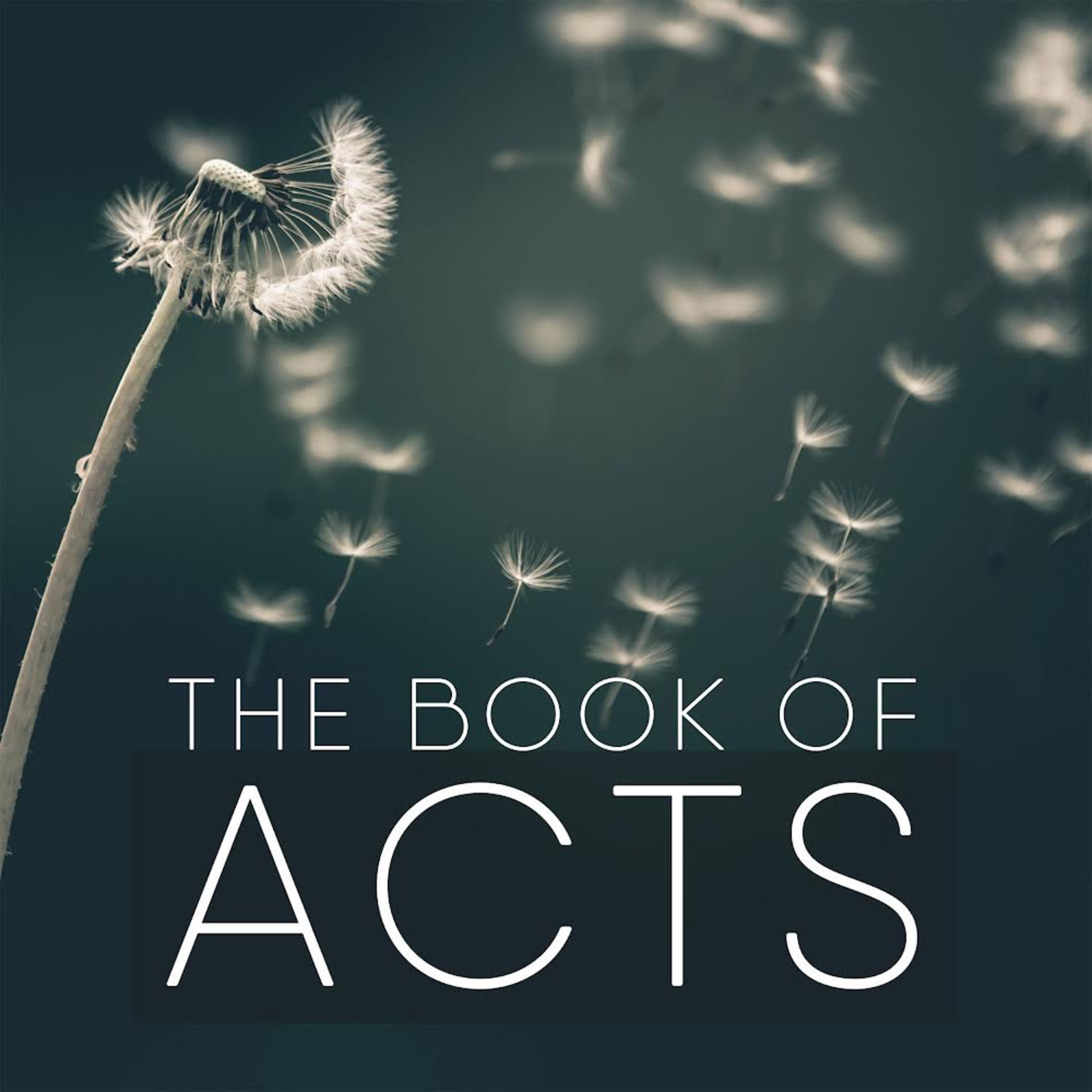 The Book of Acts - Week 05 - May 29, 2022 episode artwork
