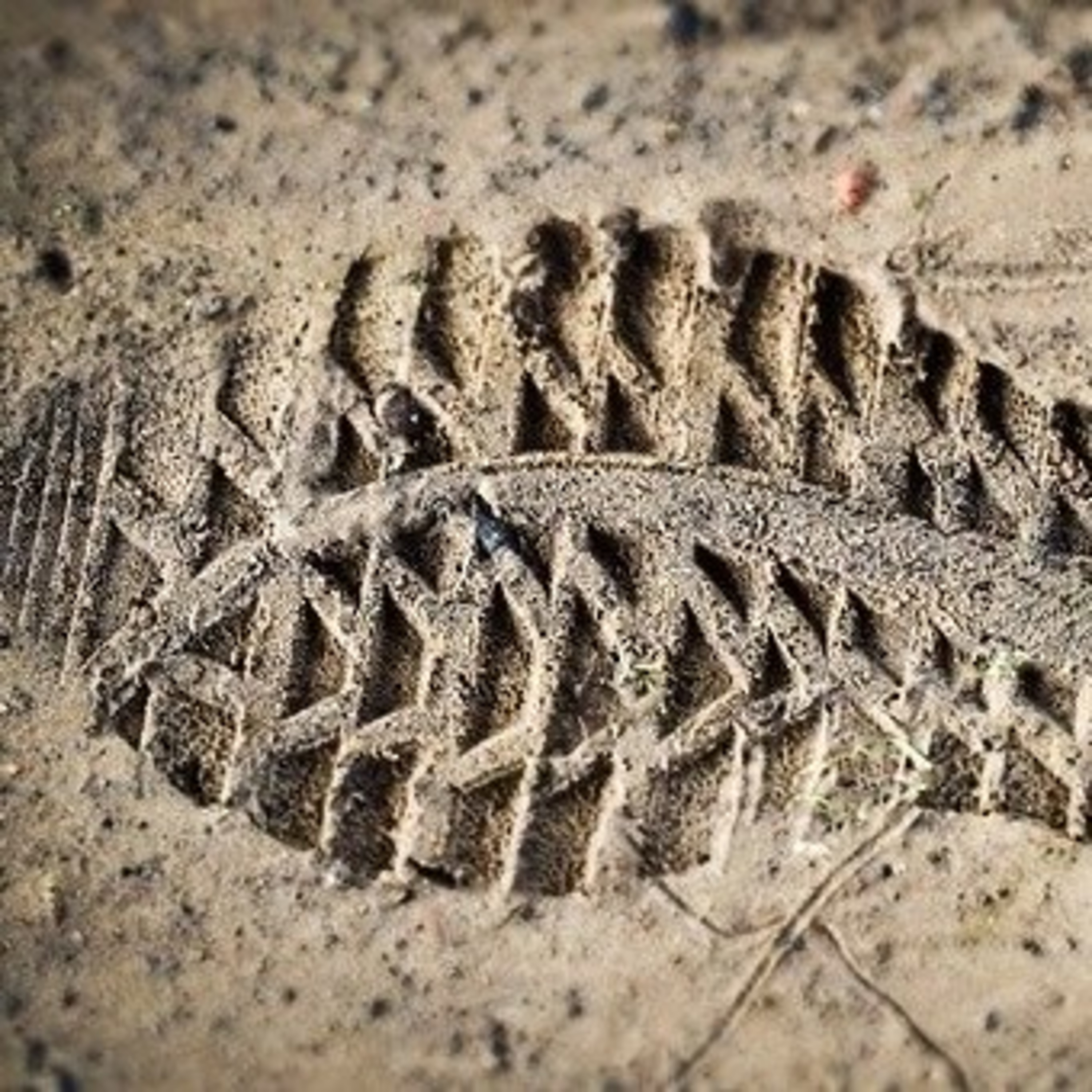 Episode 8: How to get centered (and stay grounded in the now)