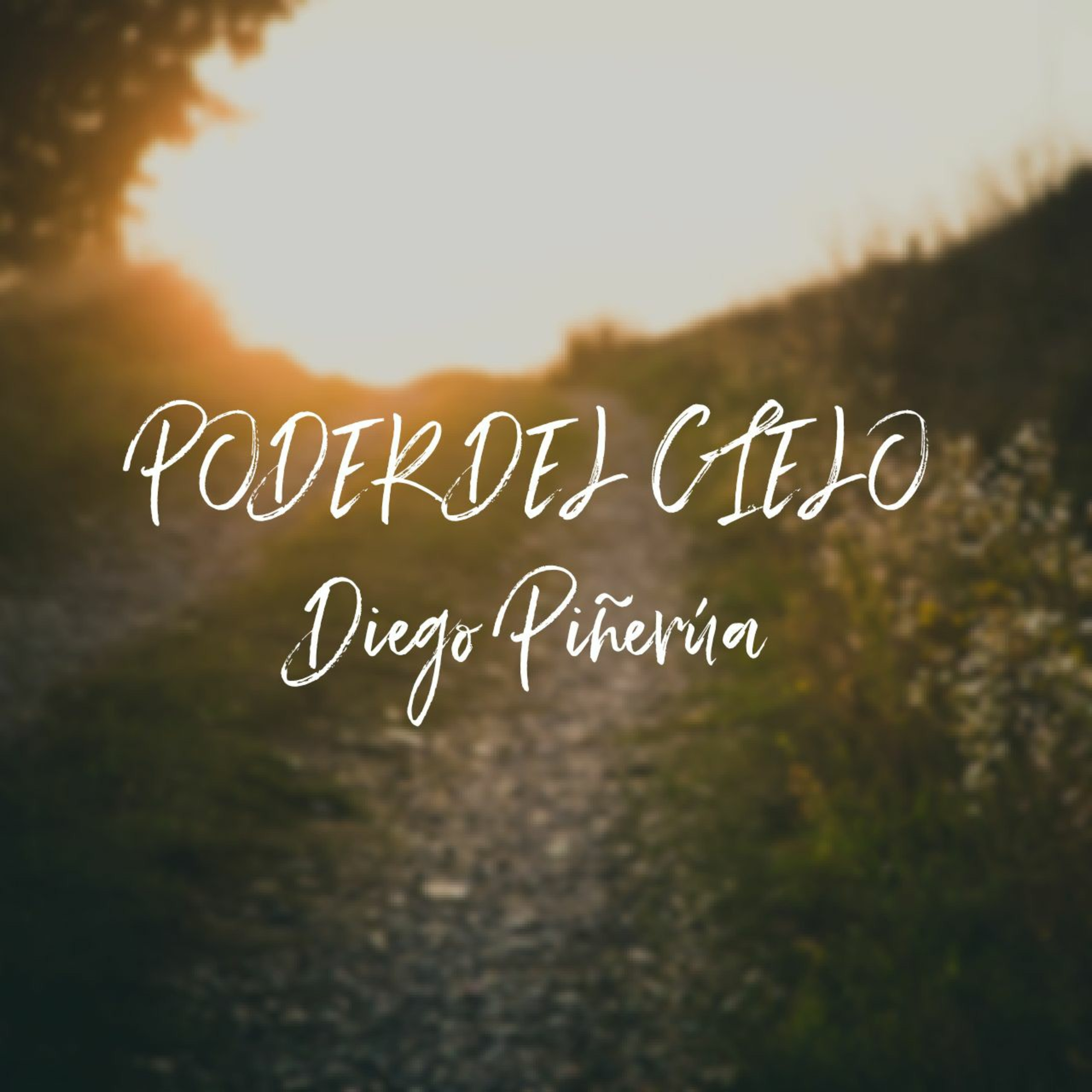DIEGO PIÑERUA PODCAST