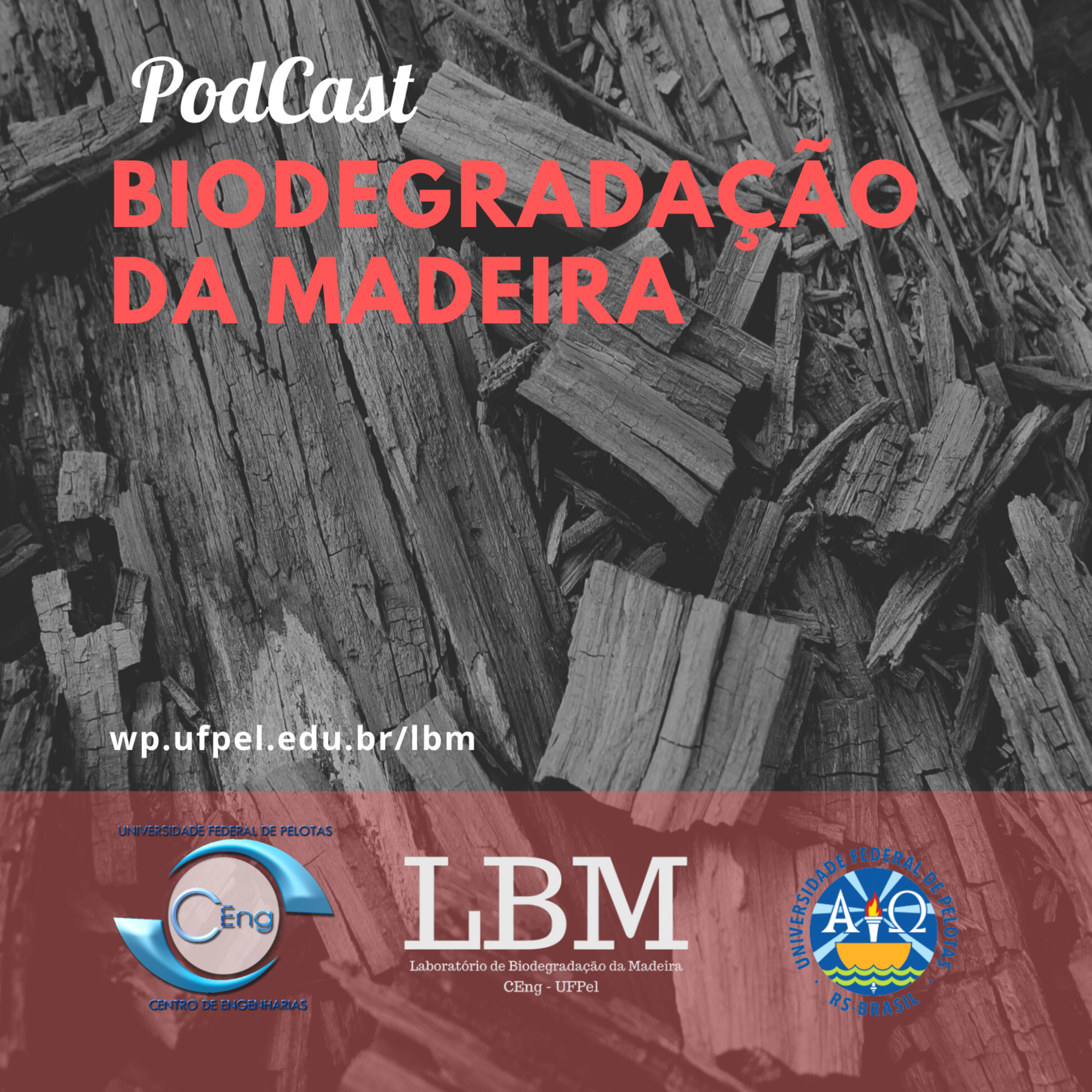 Biodegradação da Madeira