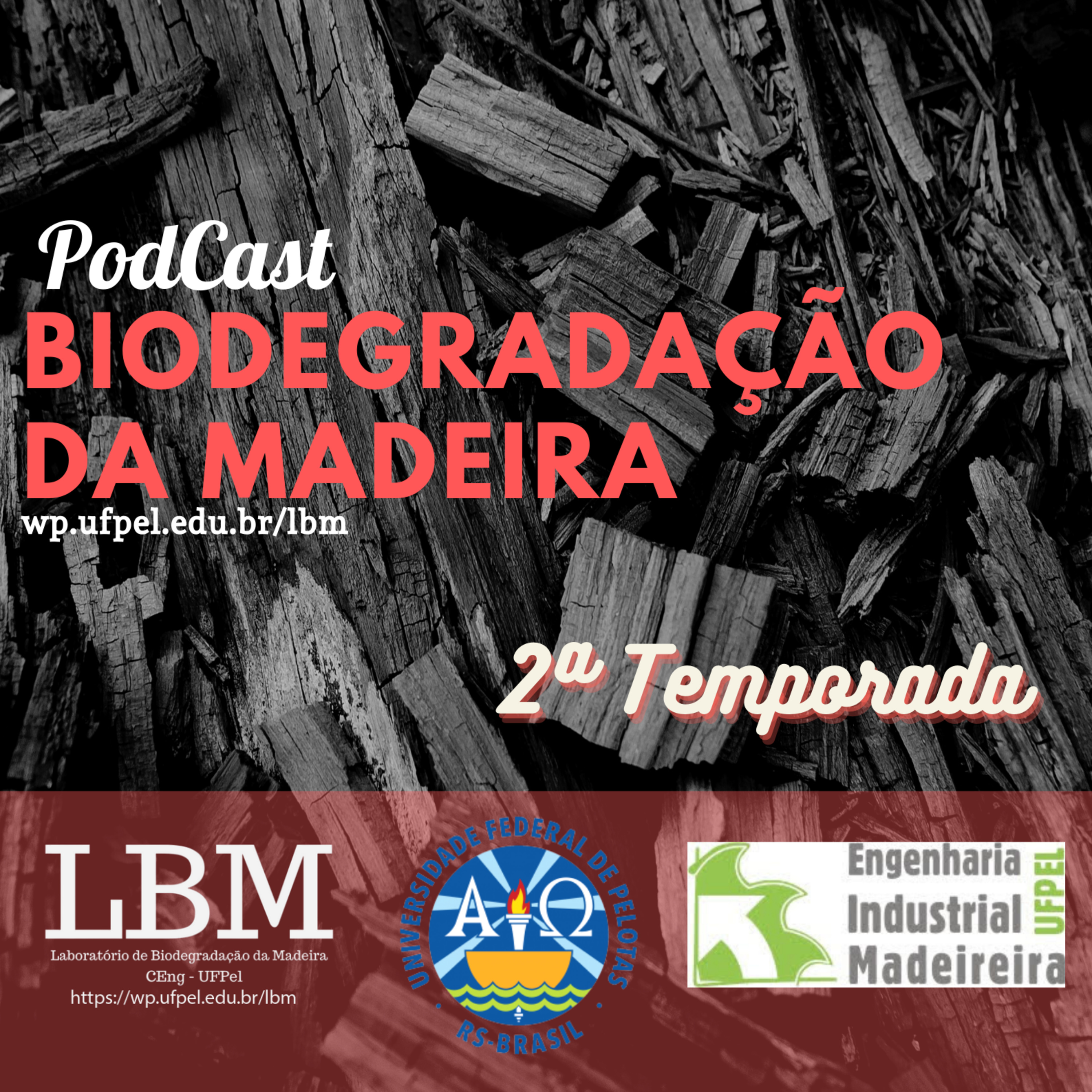 Biodegradação da Madeira