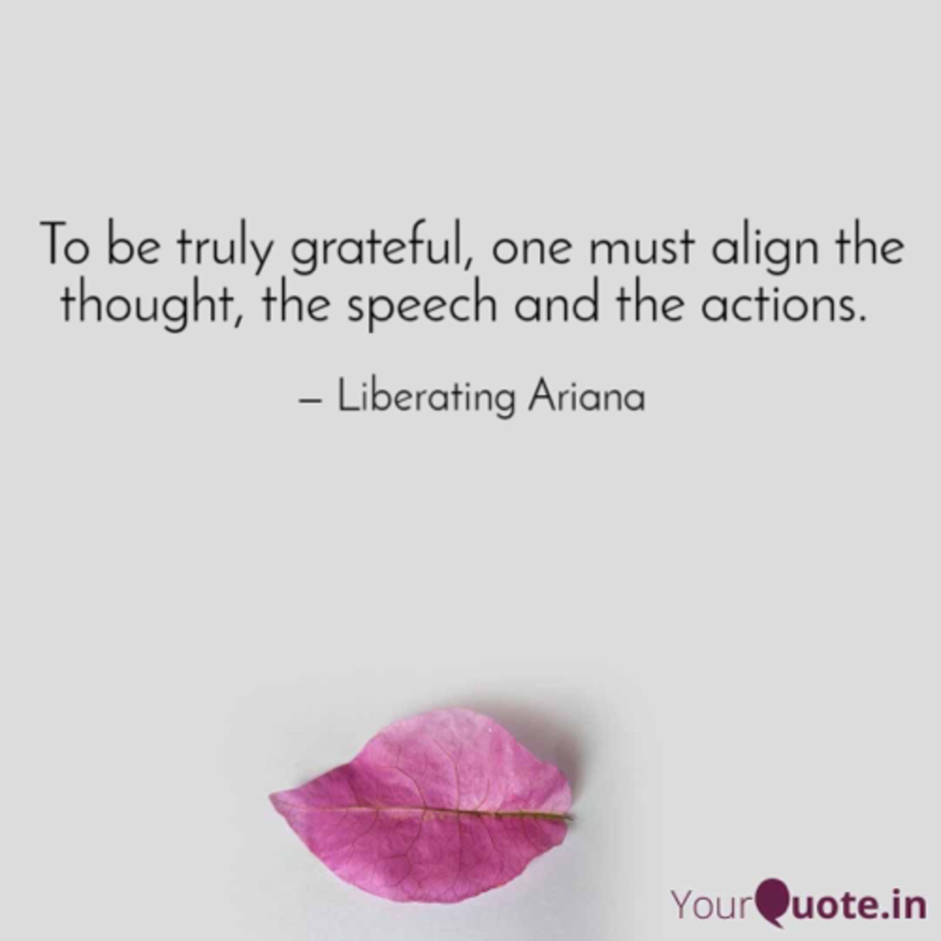 Gratitude Circle- Phase 1, Day 9
