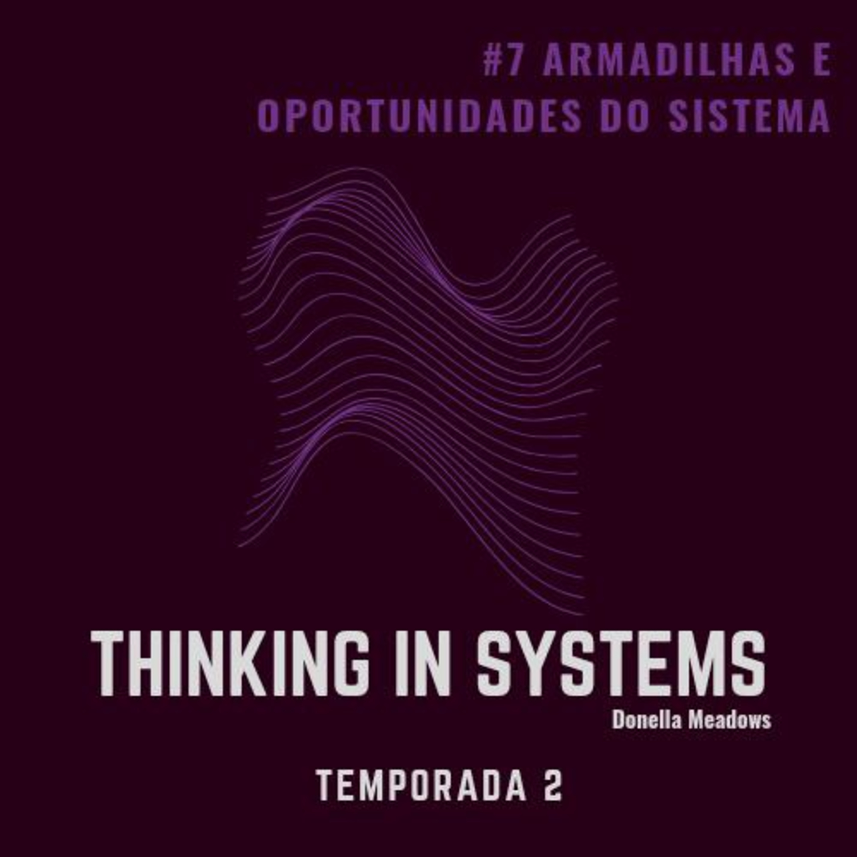 Episódio 7 - Armardilhas sistemicas....e oportunidades episode artwork