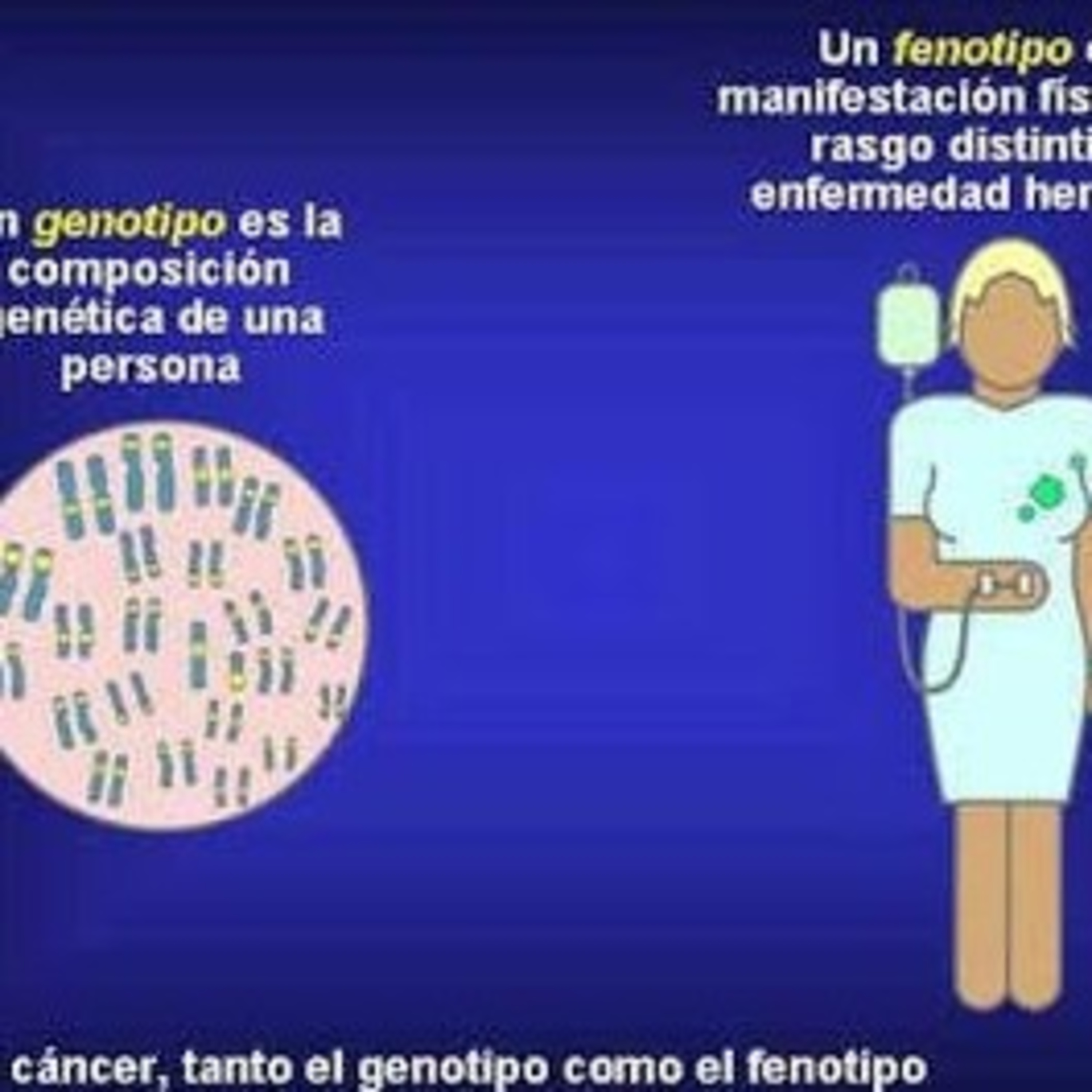 José Guadalupe Niño