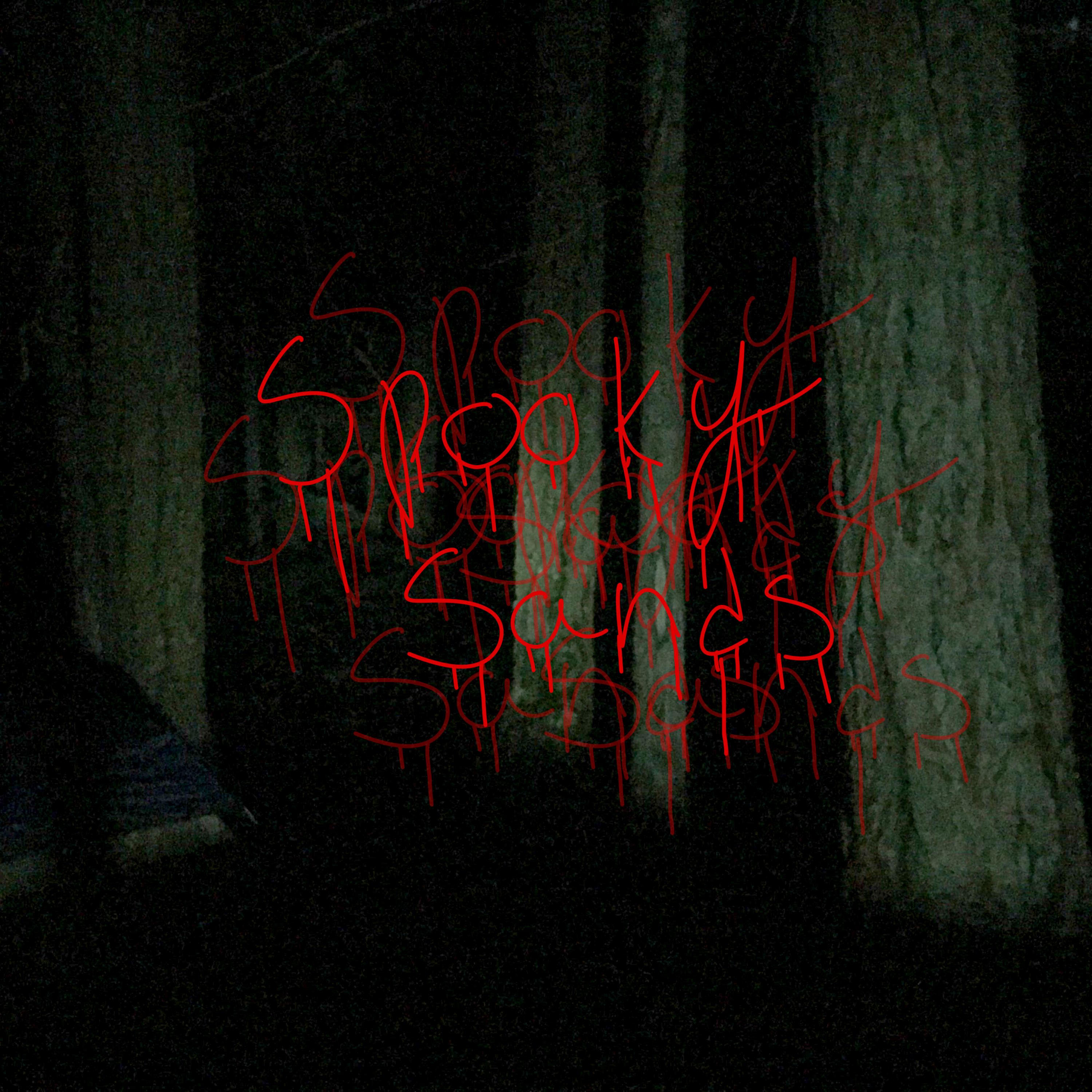 Shady Sands Adventures