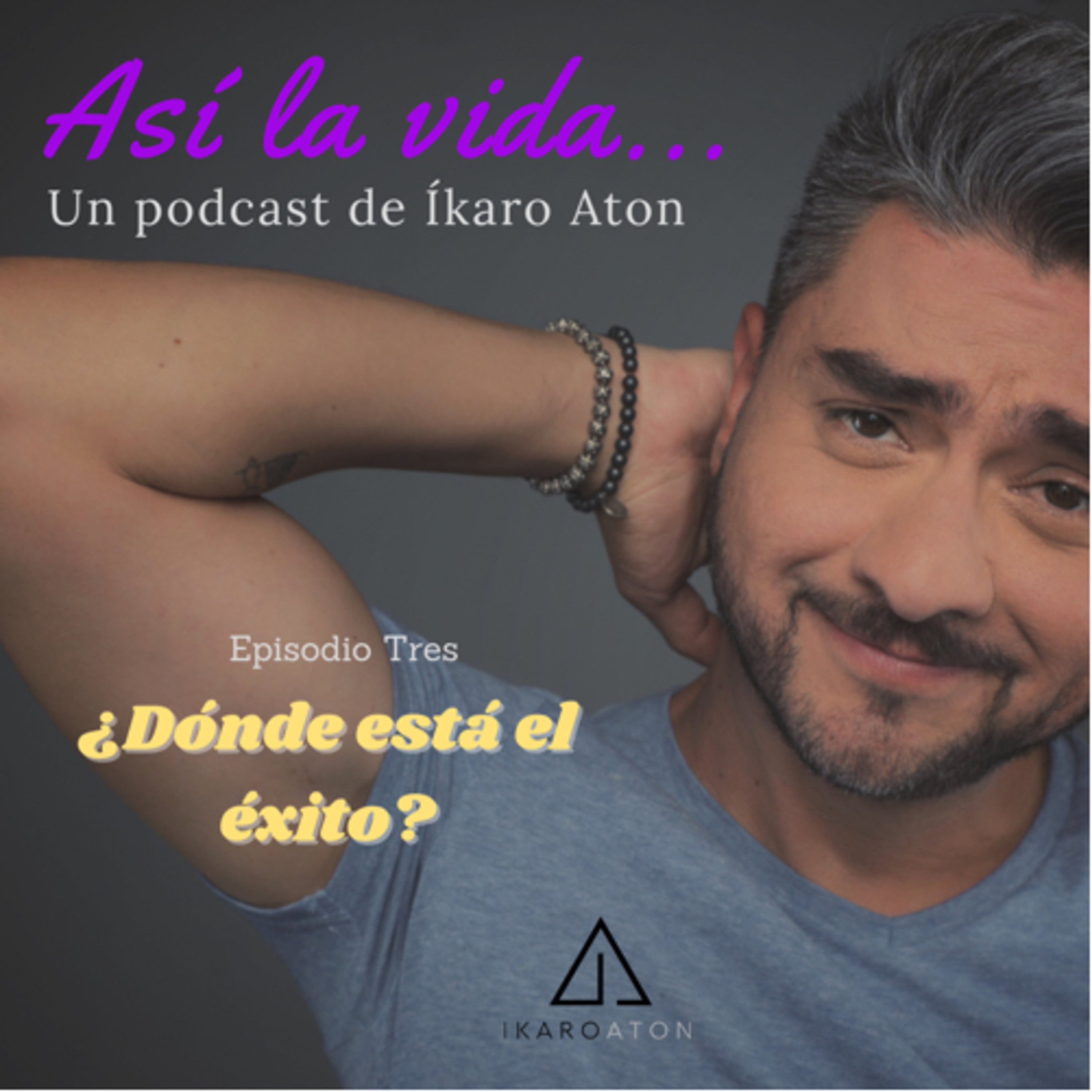 ¿Dónde está el éxito? episode artwork