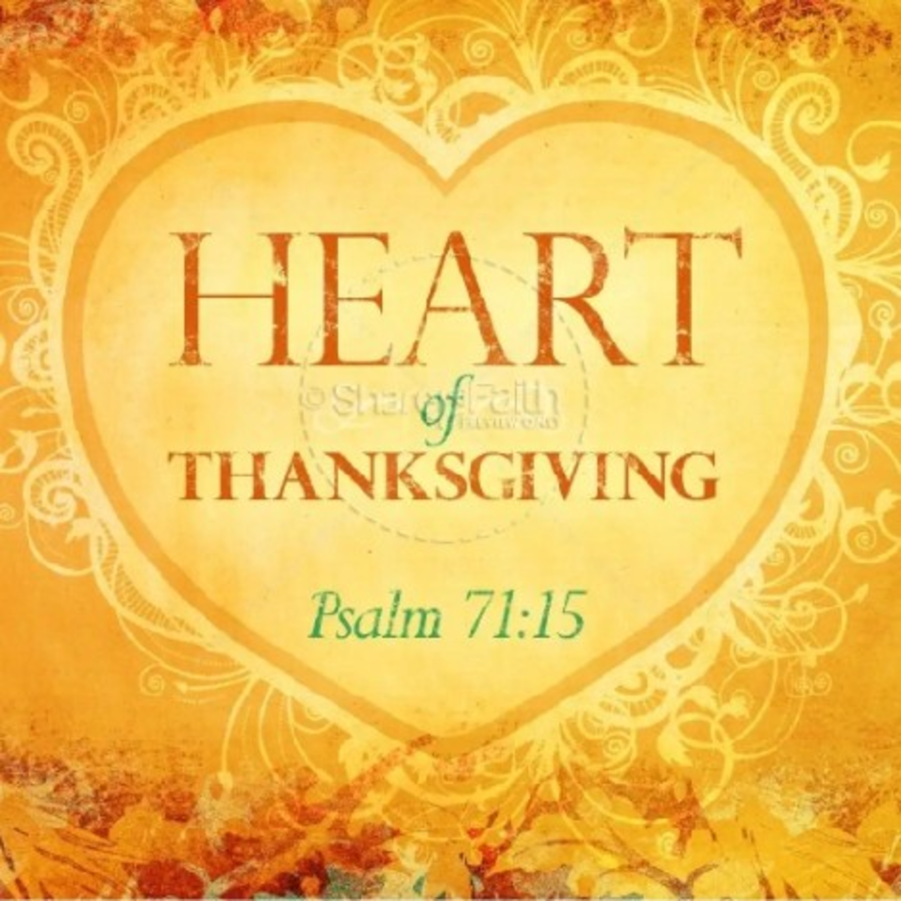 Heart of Thanksgiving. episode artwork