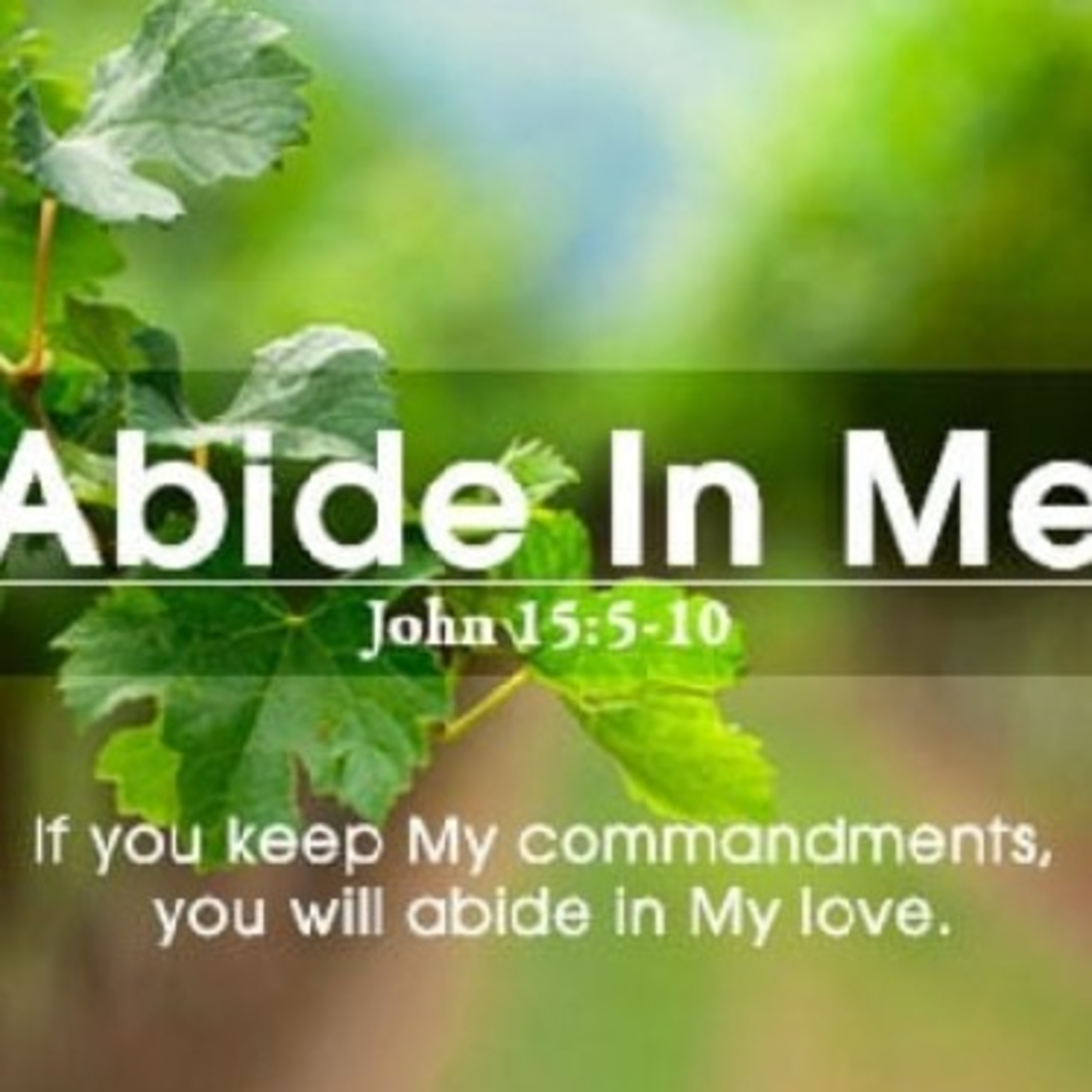 'ABIDE IN ME'. JOHN 15:1-10 episode artwork