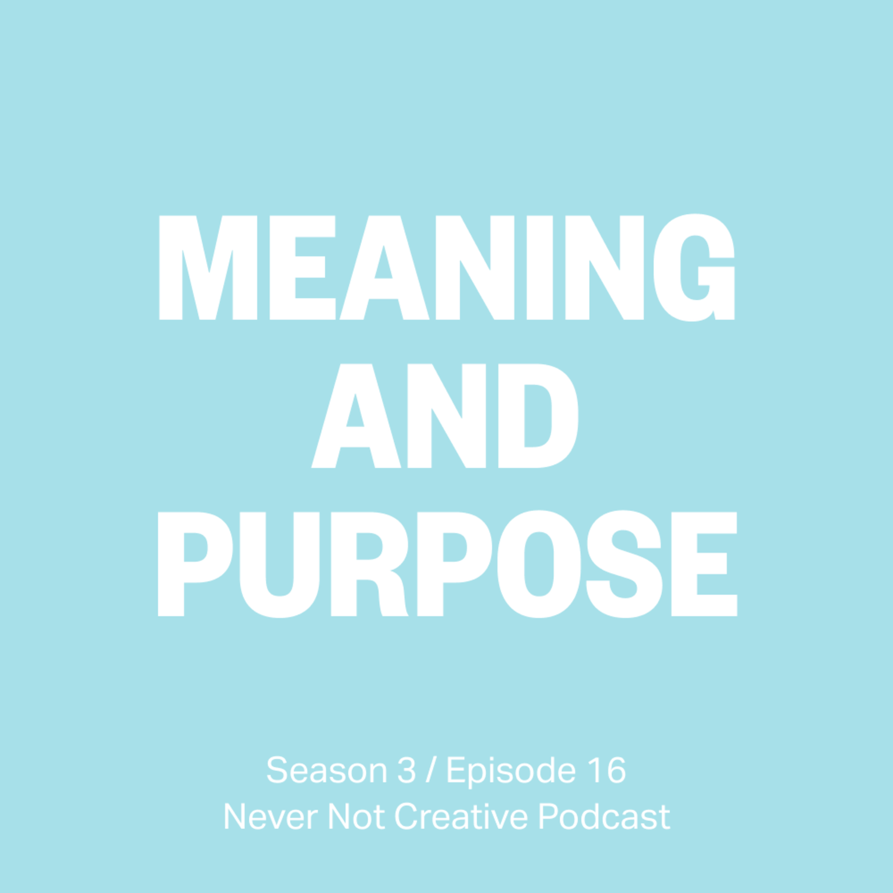 S3 Ep16 Meaning And Purpose