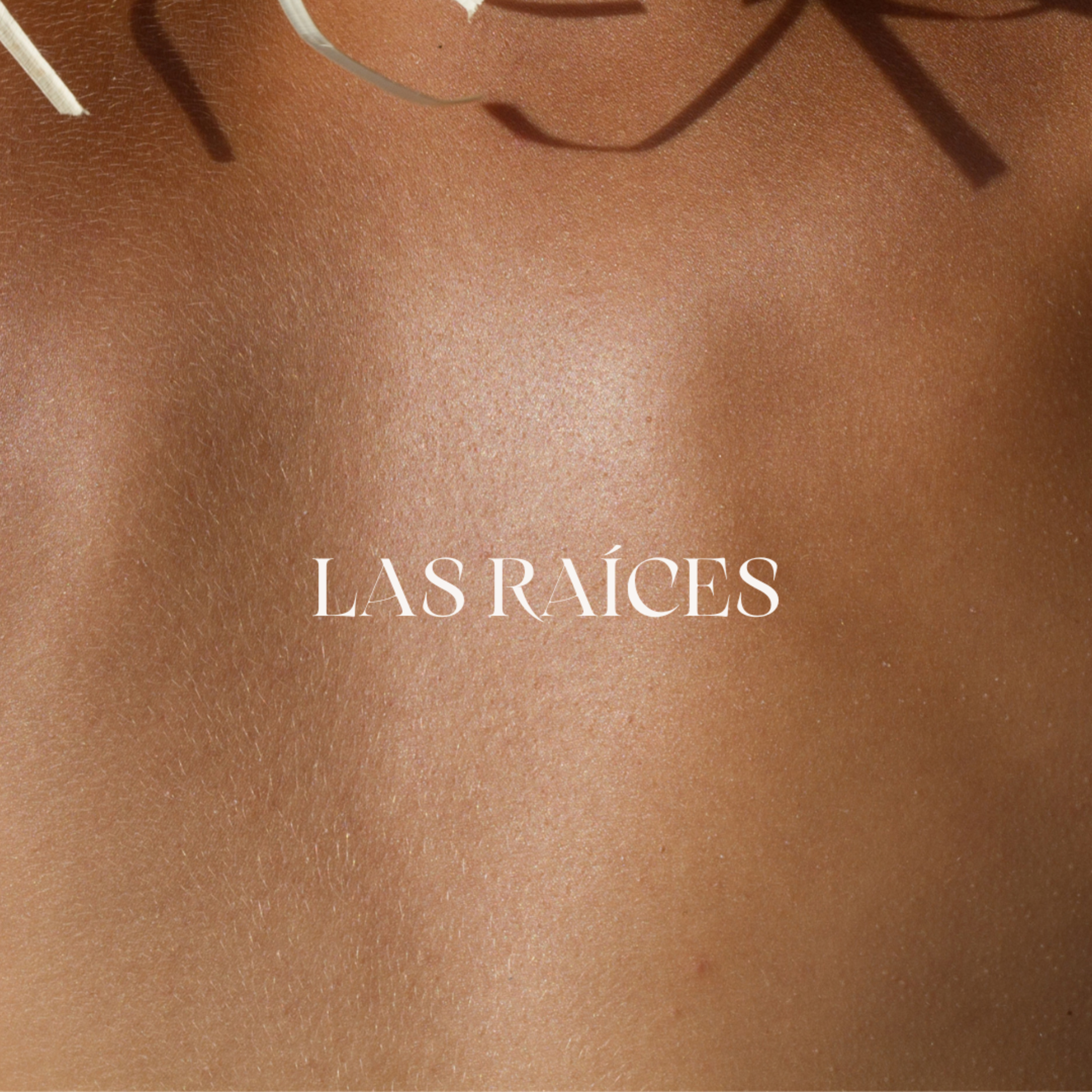 Las raíces episode artwork
