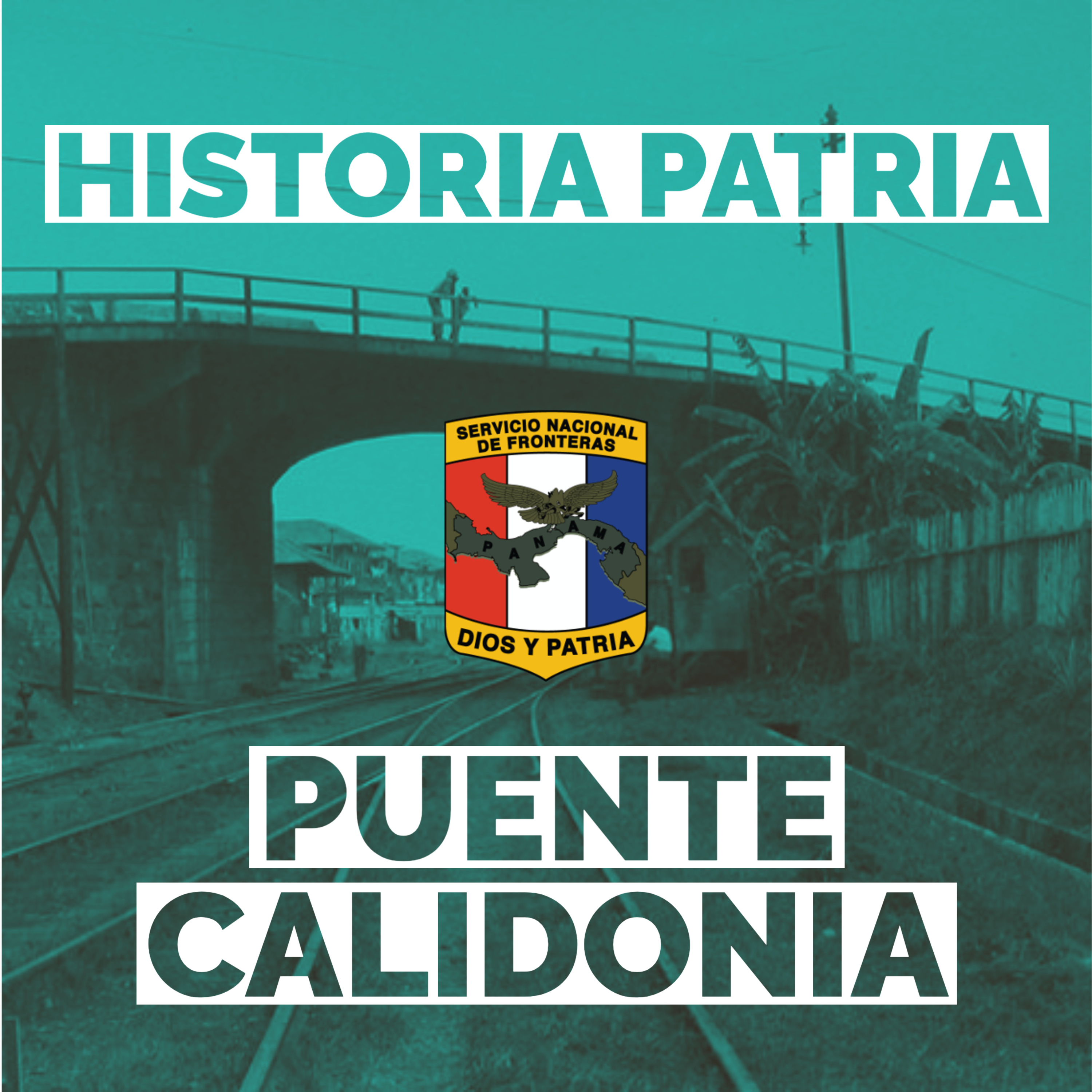 Servicio Nacional De Fronteras