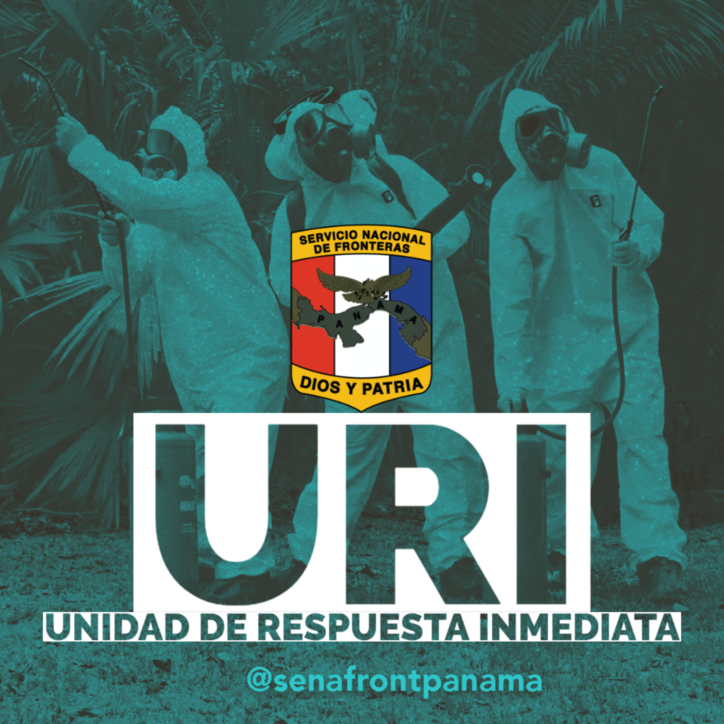 Servicio Nacional De Fronteras