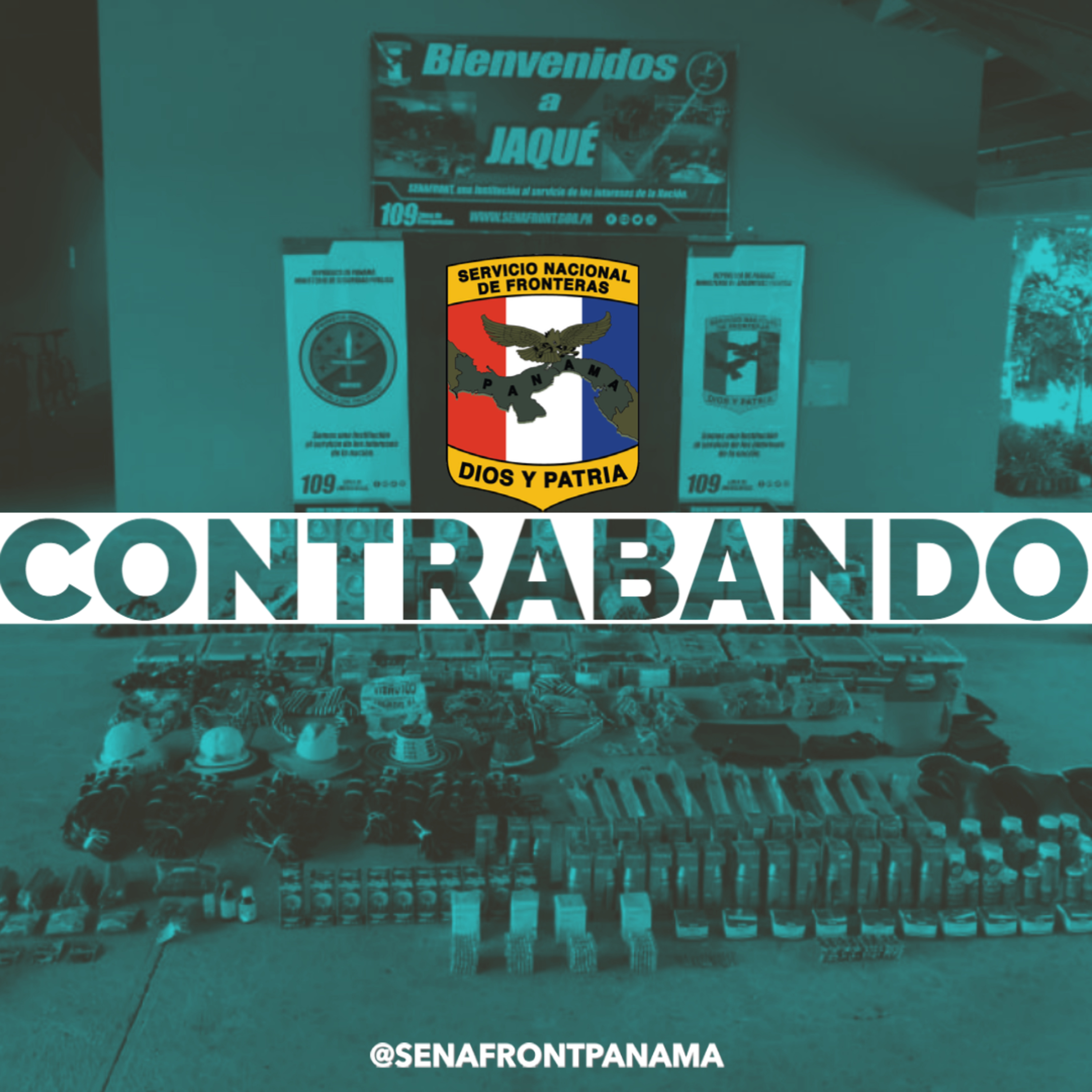 Servicio Nacional De Fronteras