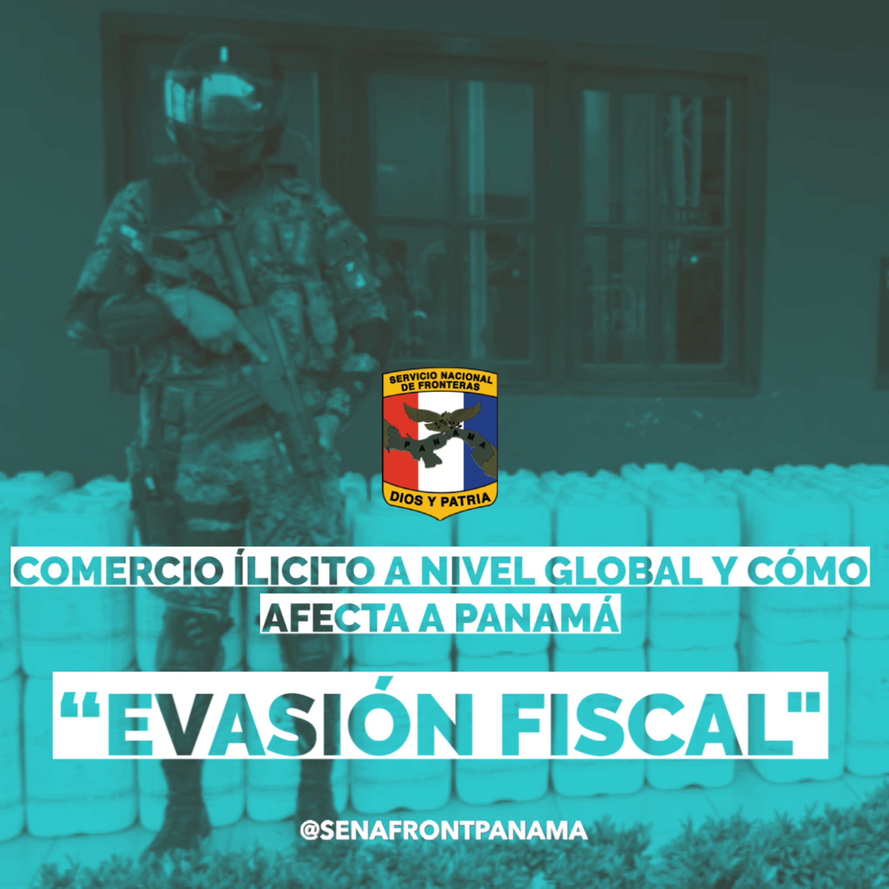 Servicio Nacional De Fronteras