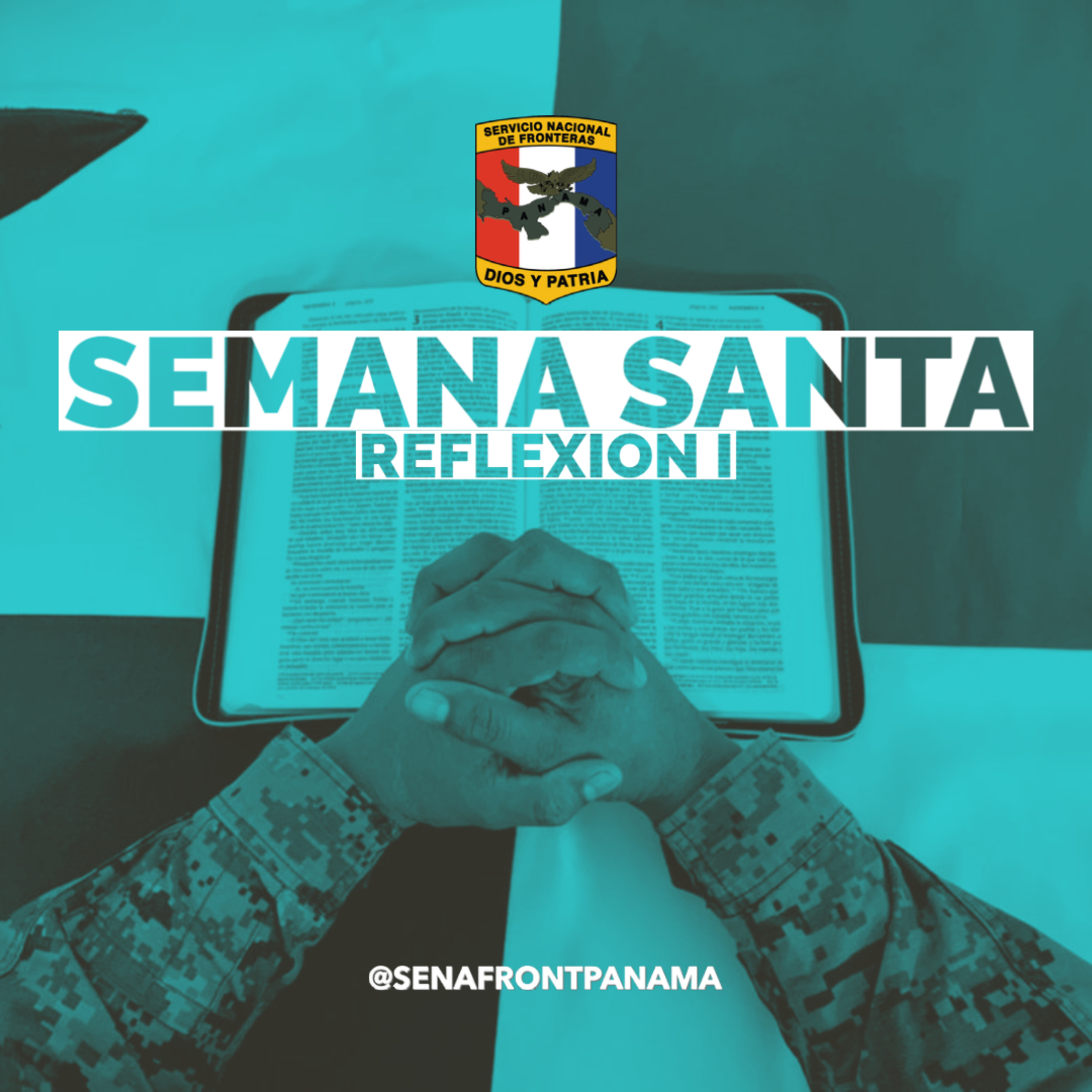 Servicio Nacional De Fronteras