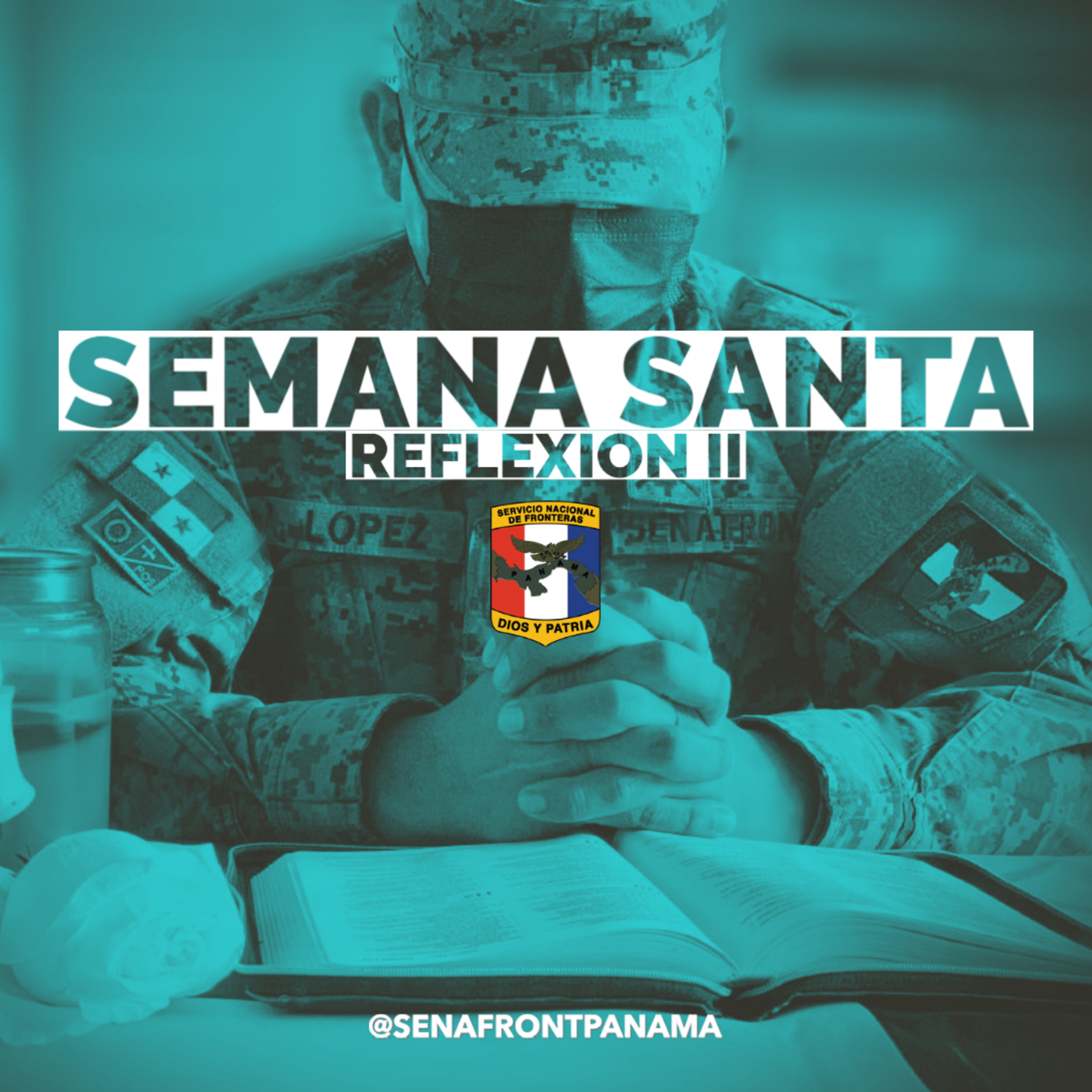 Servicio Nacional De Fronteras