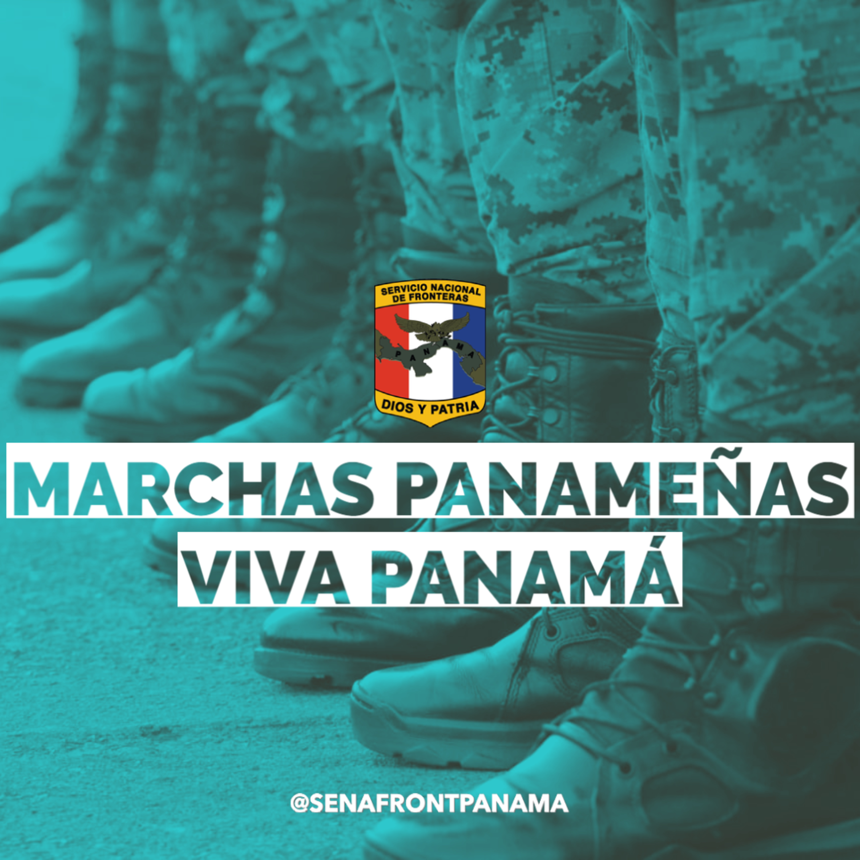Servicio Nacional De Fronteras