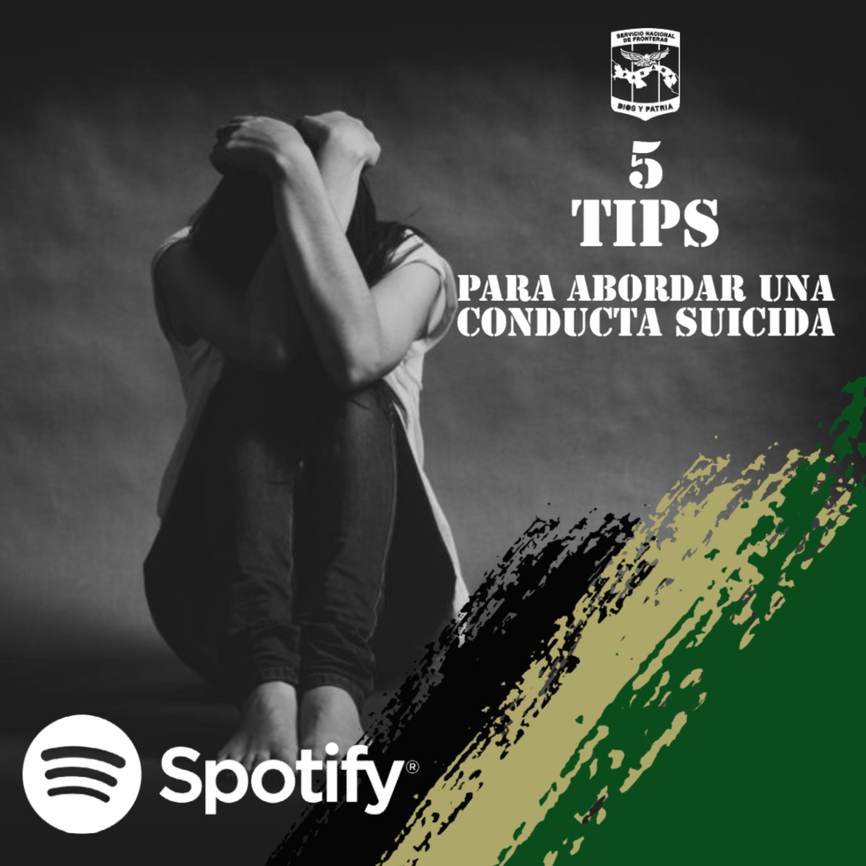 Servicio Nacional De Fronteras