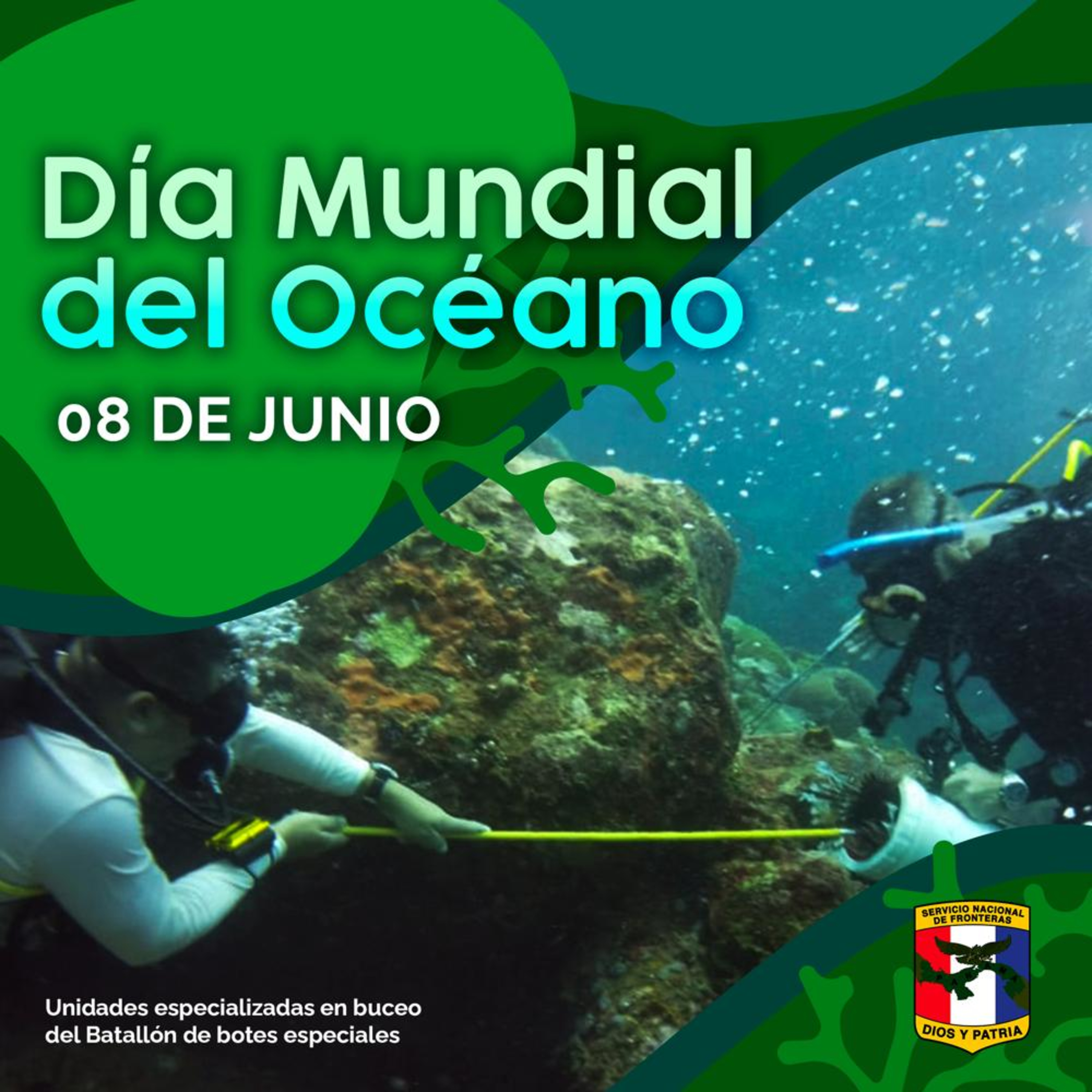 Servicio Nacional De Fronteras