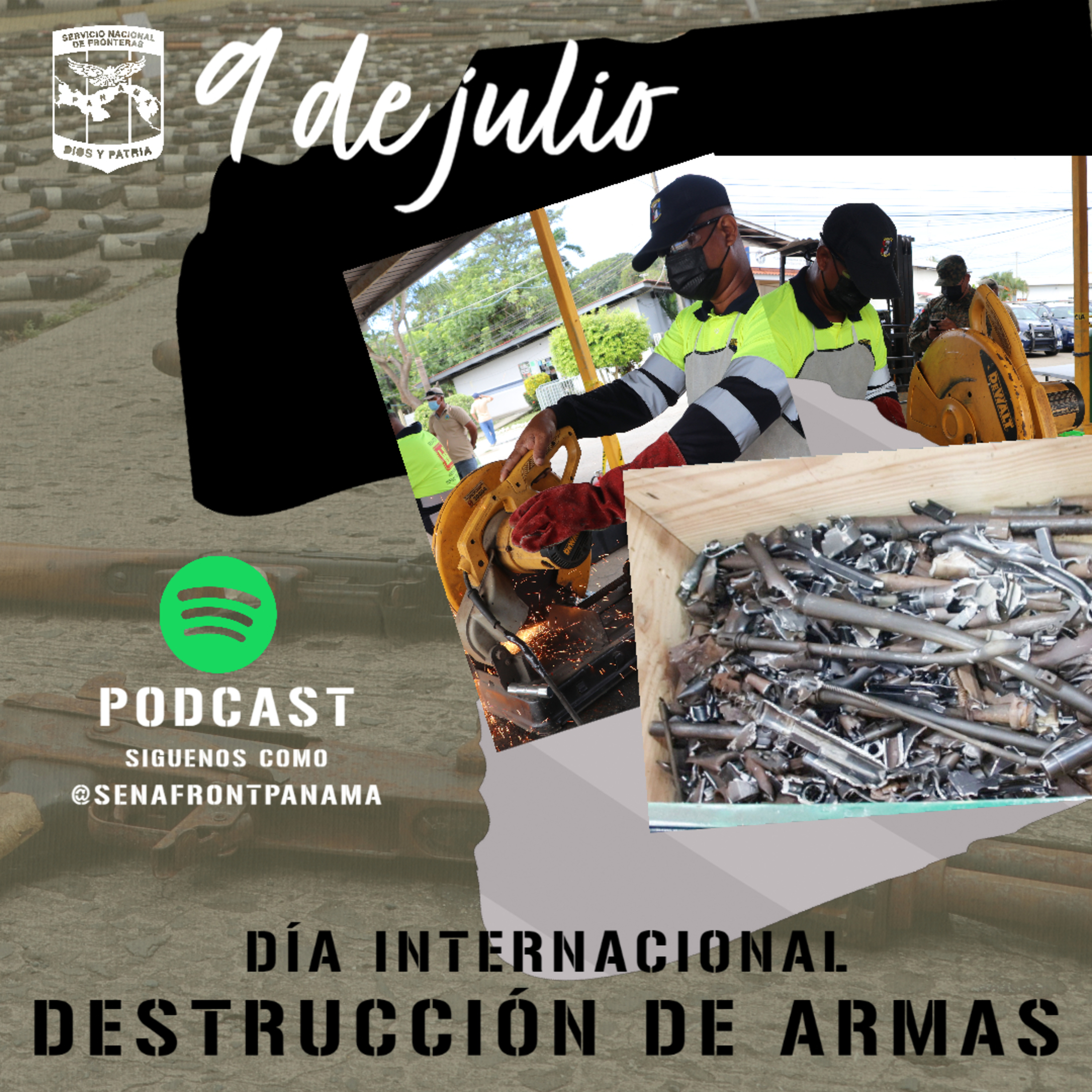 Servicio Nacional De Fronteras