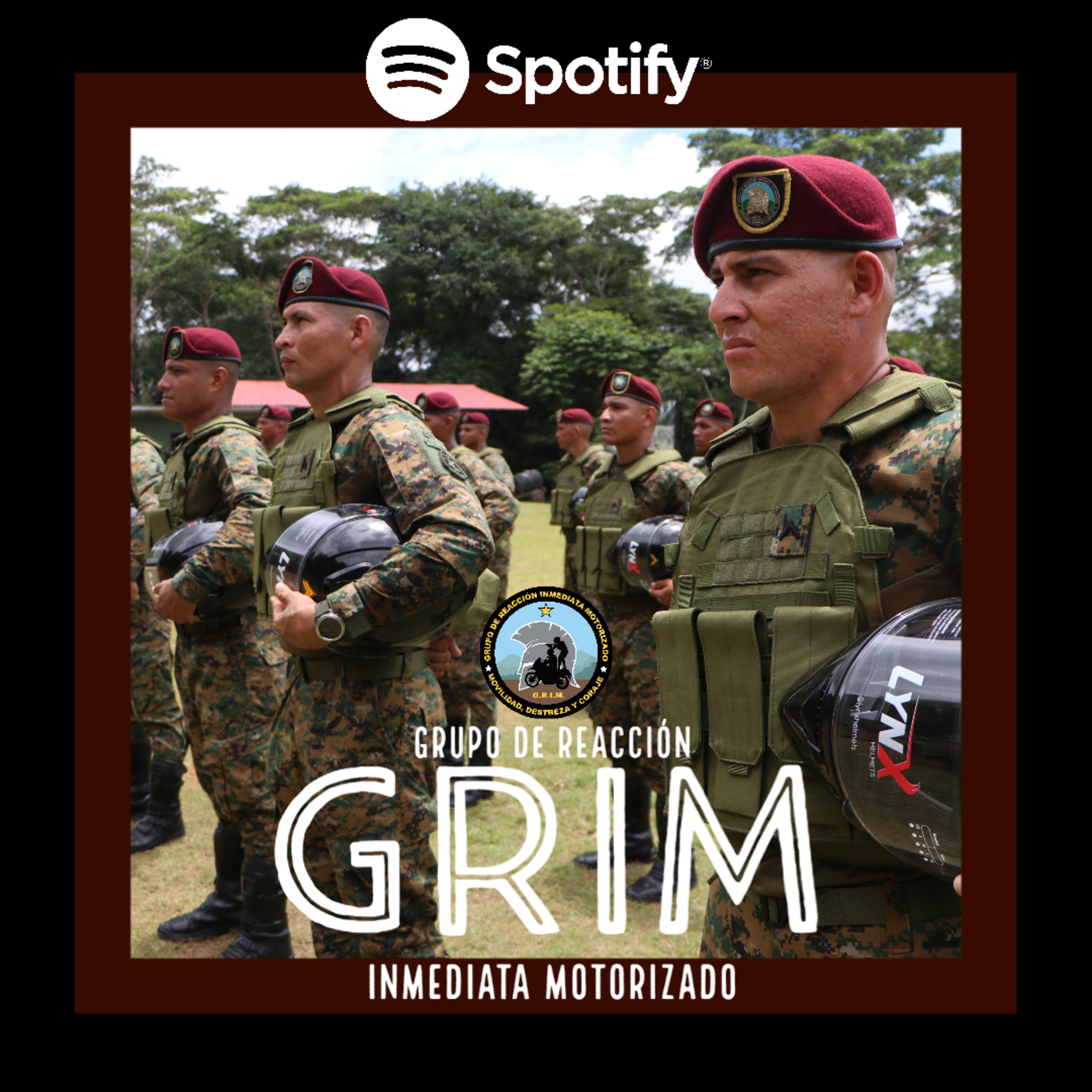 Servicio Nacional De Fronteras