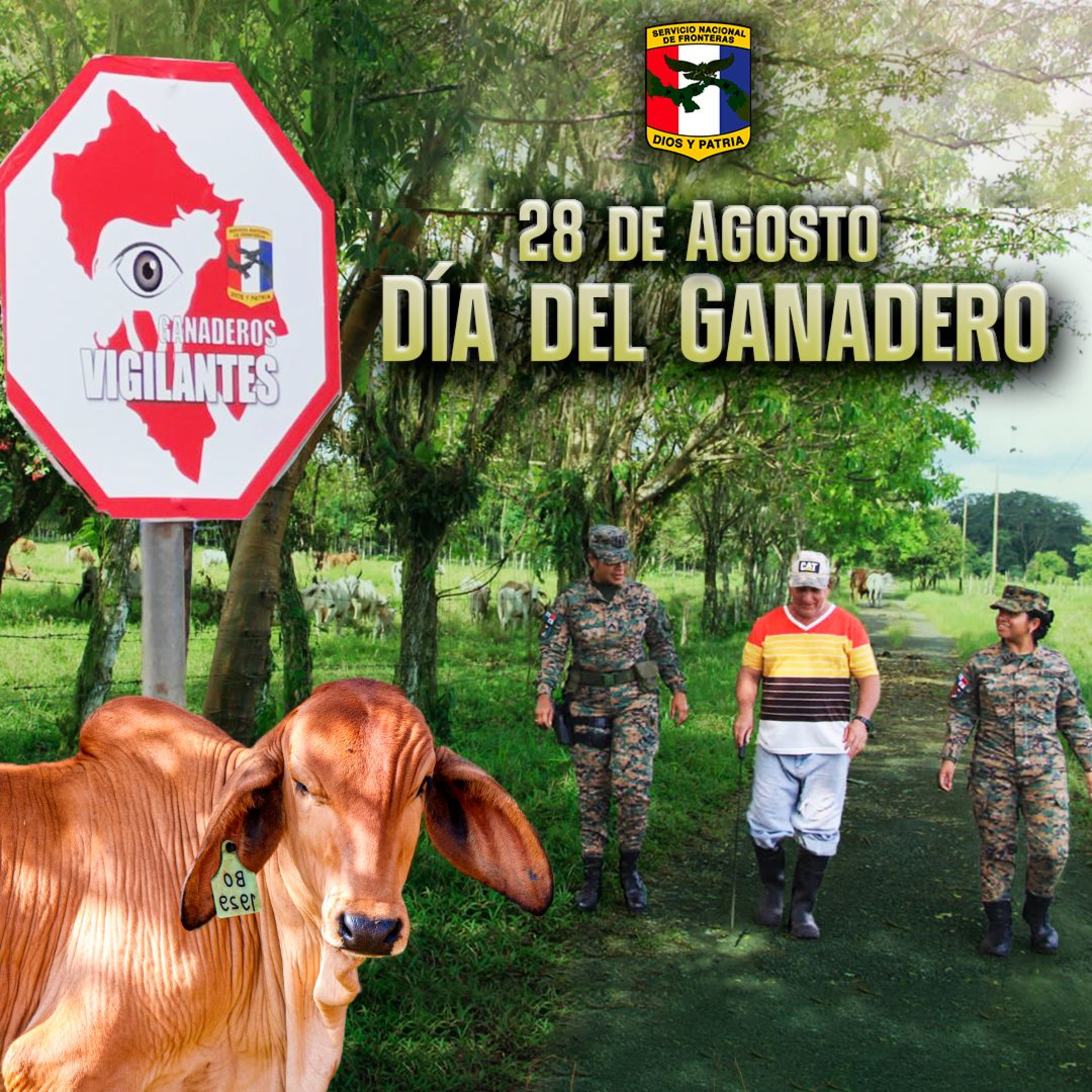 Servicio Nacional De Fronteras