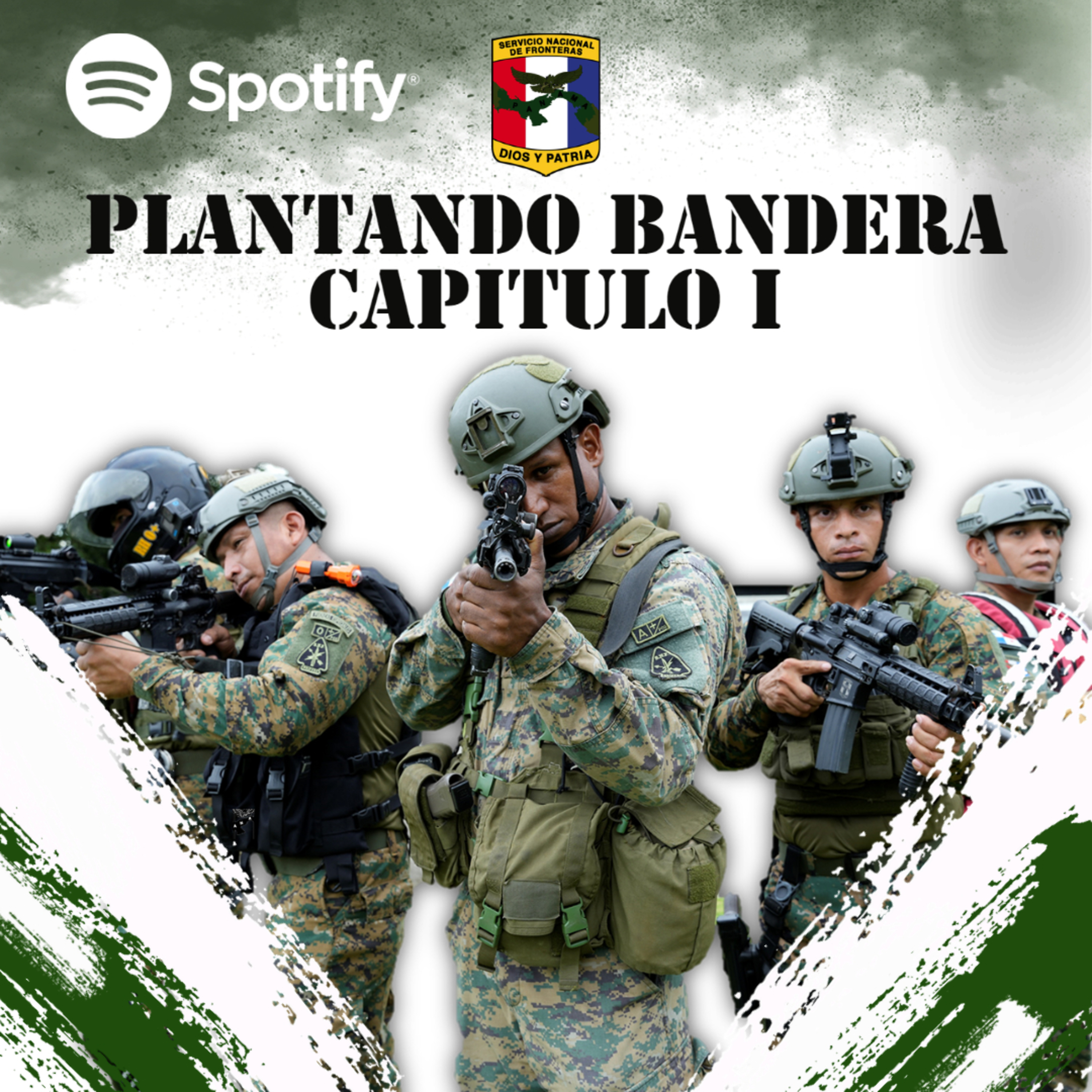Servicio Nacional De Fronteras