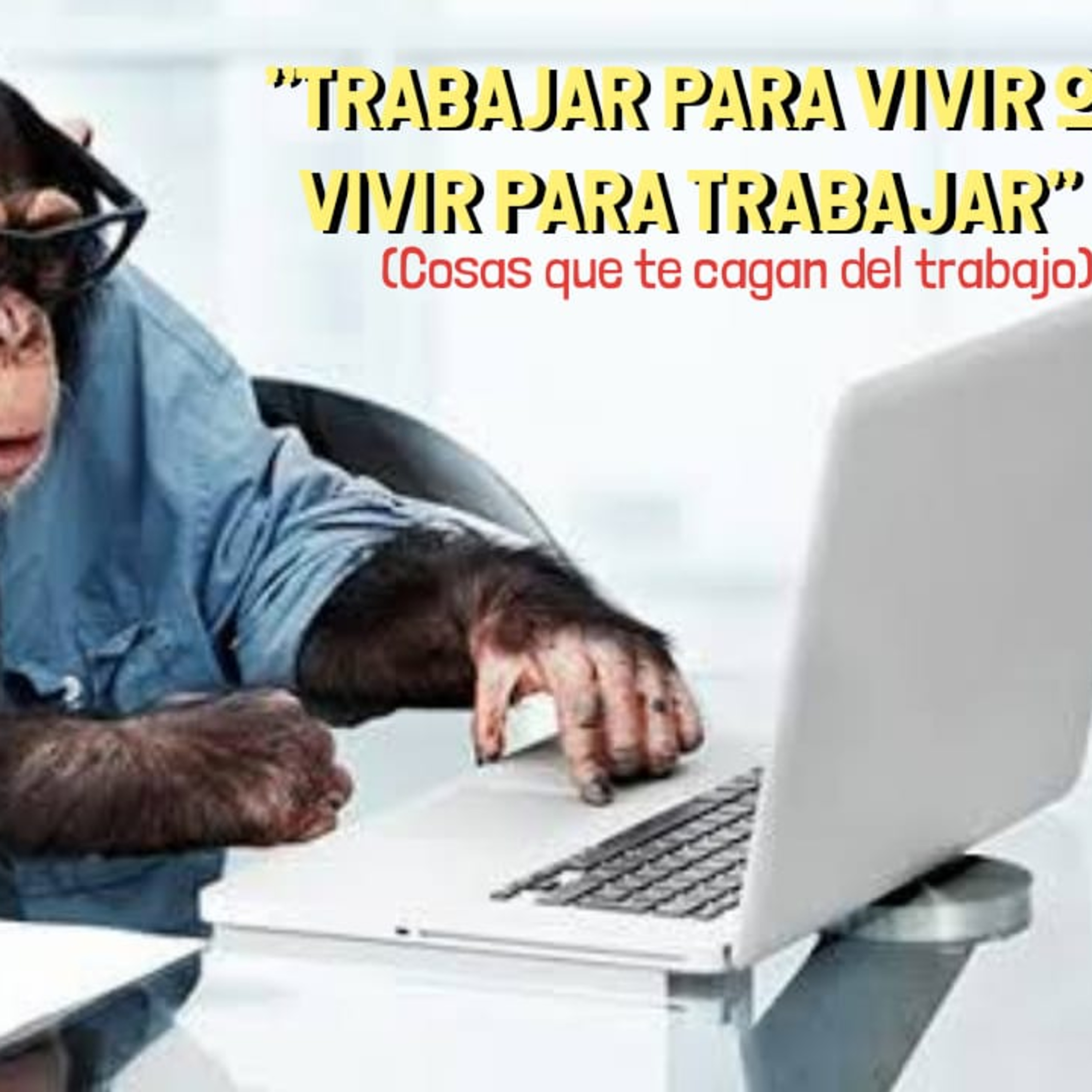 Oso Perezoso NETWORK