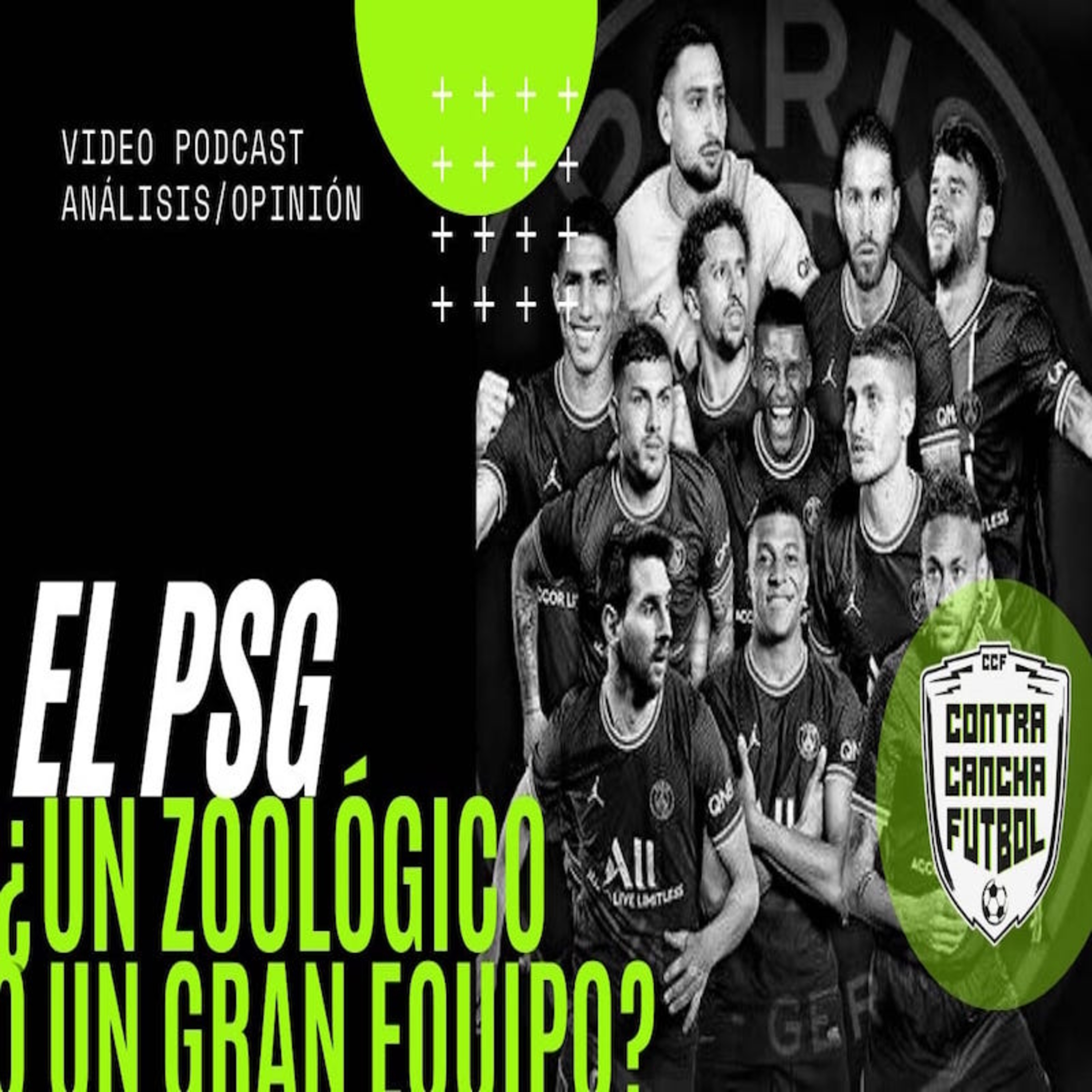 Oso Perezoso NETWORK