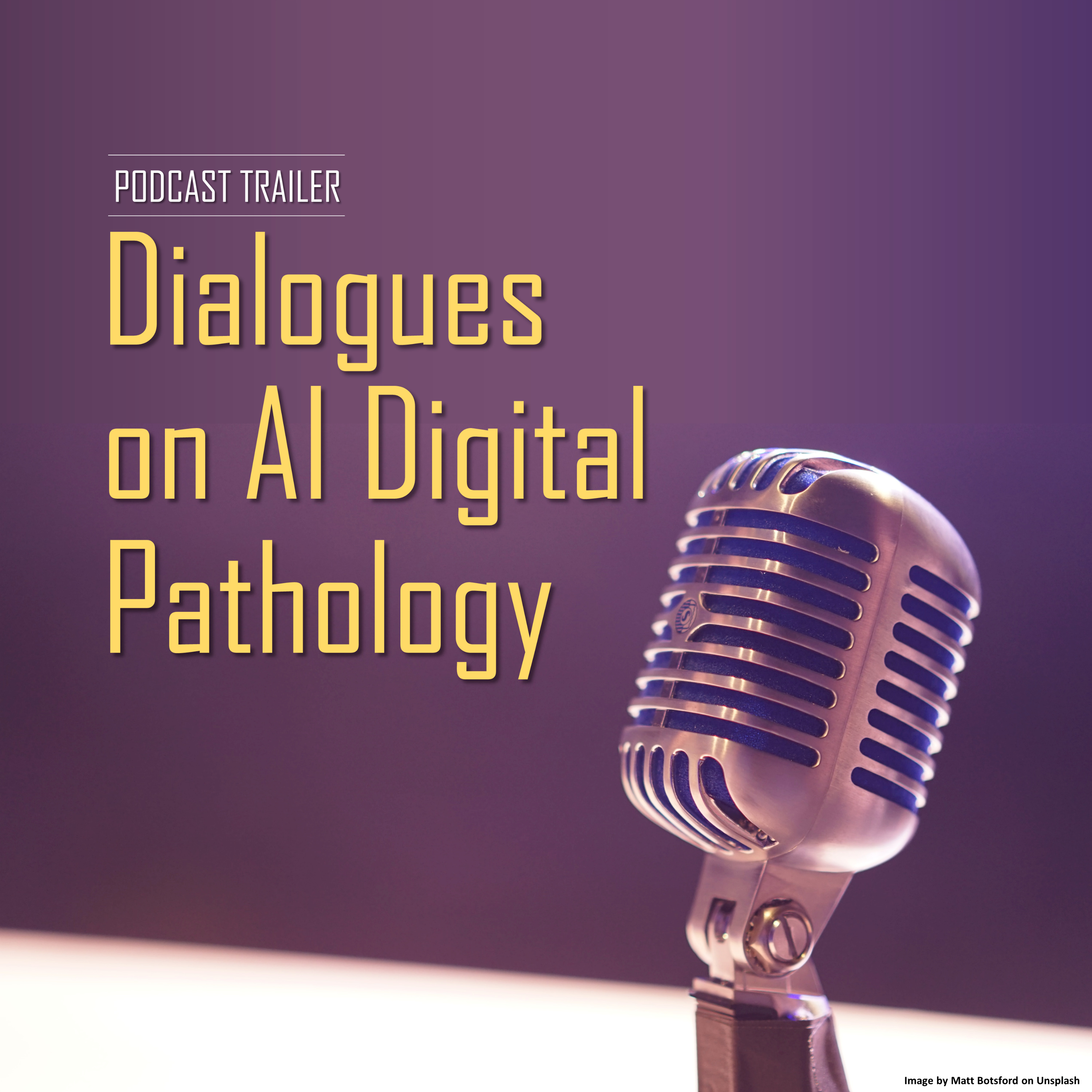 Dialogues on AI Digital Pathology