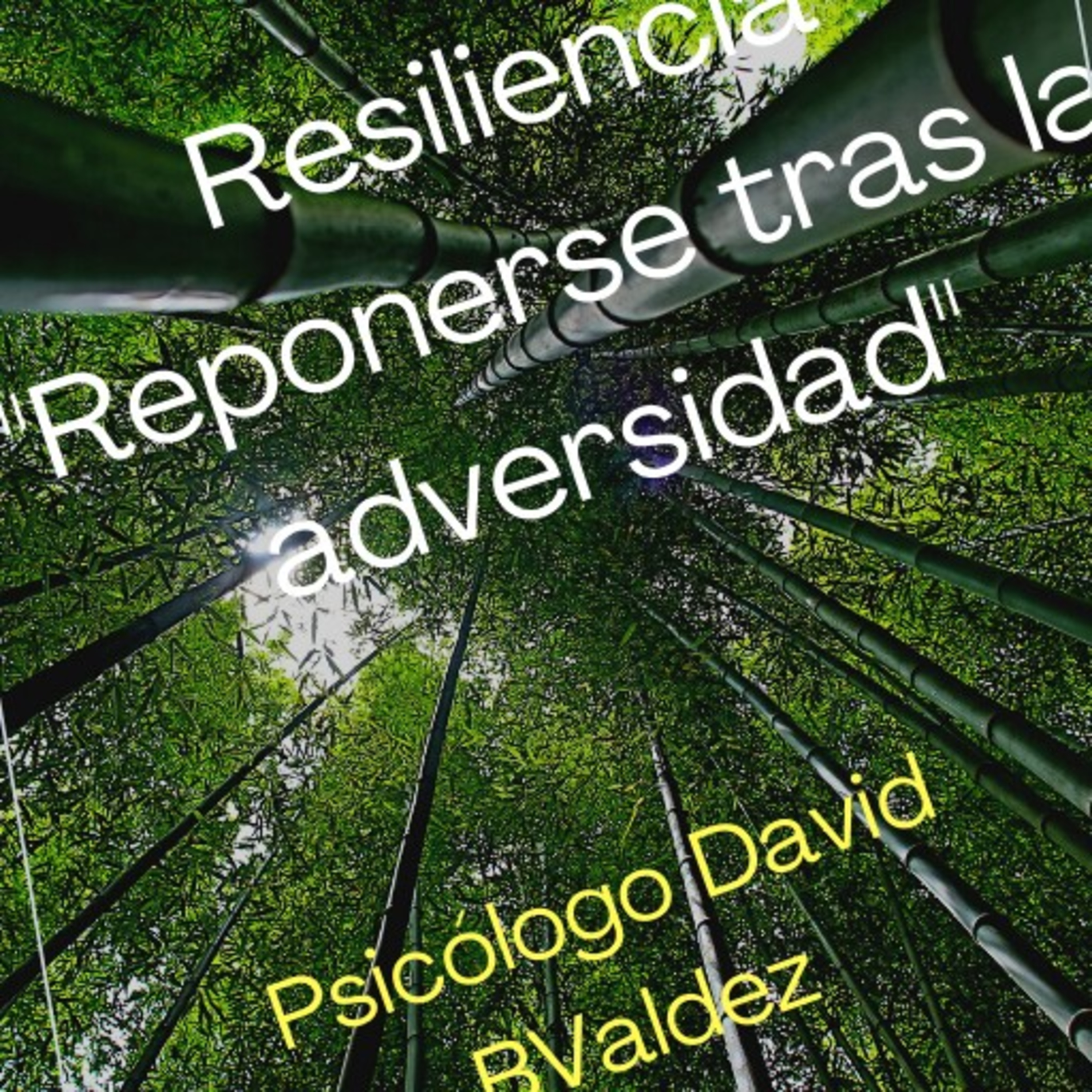 David BValdez