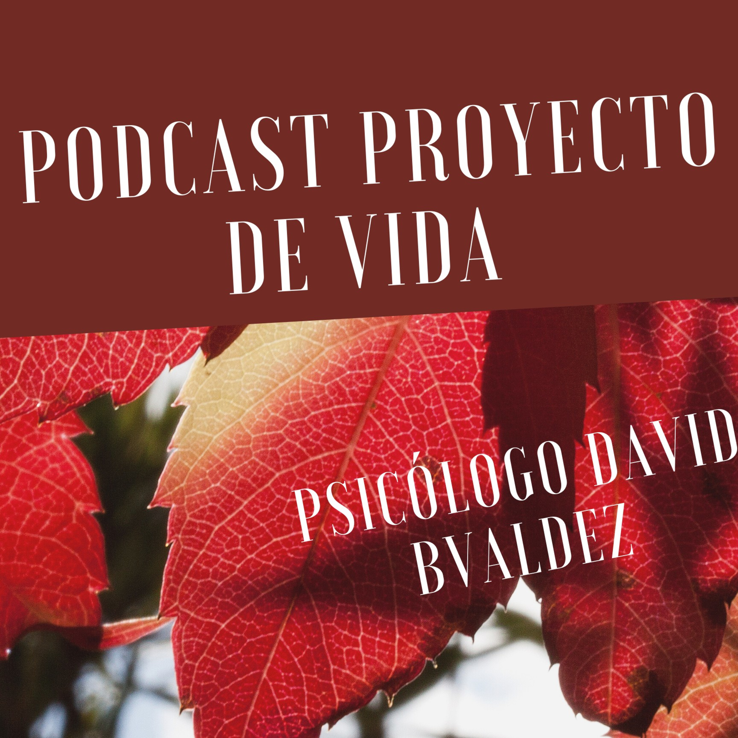 David BValdez