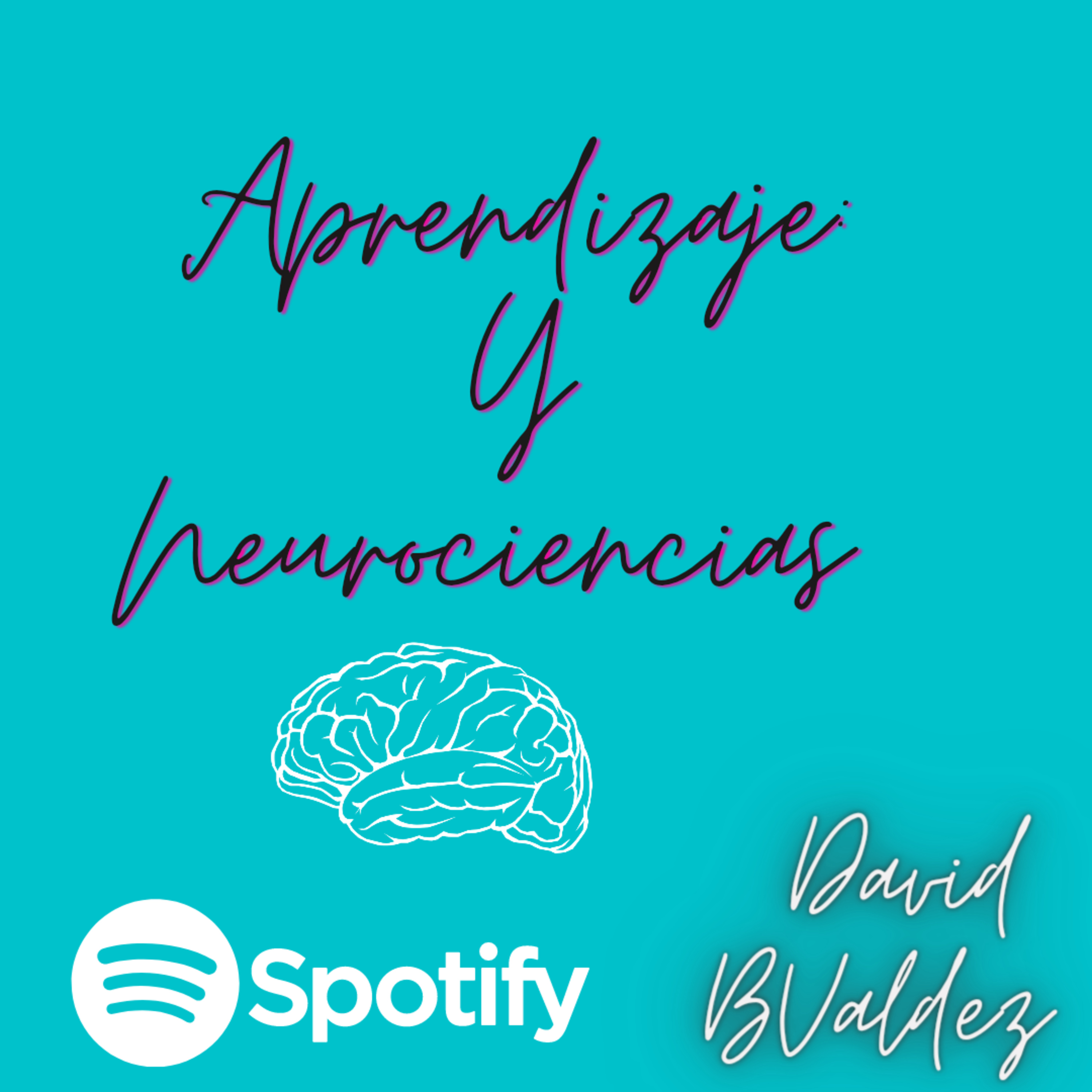 David BValdez
