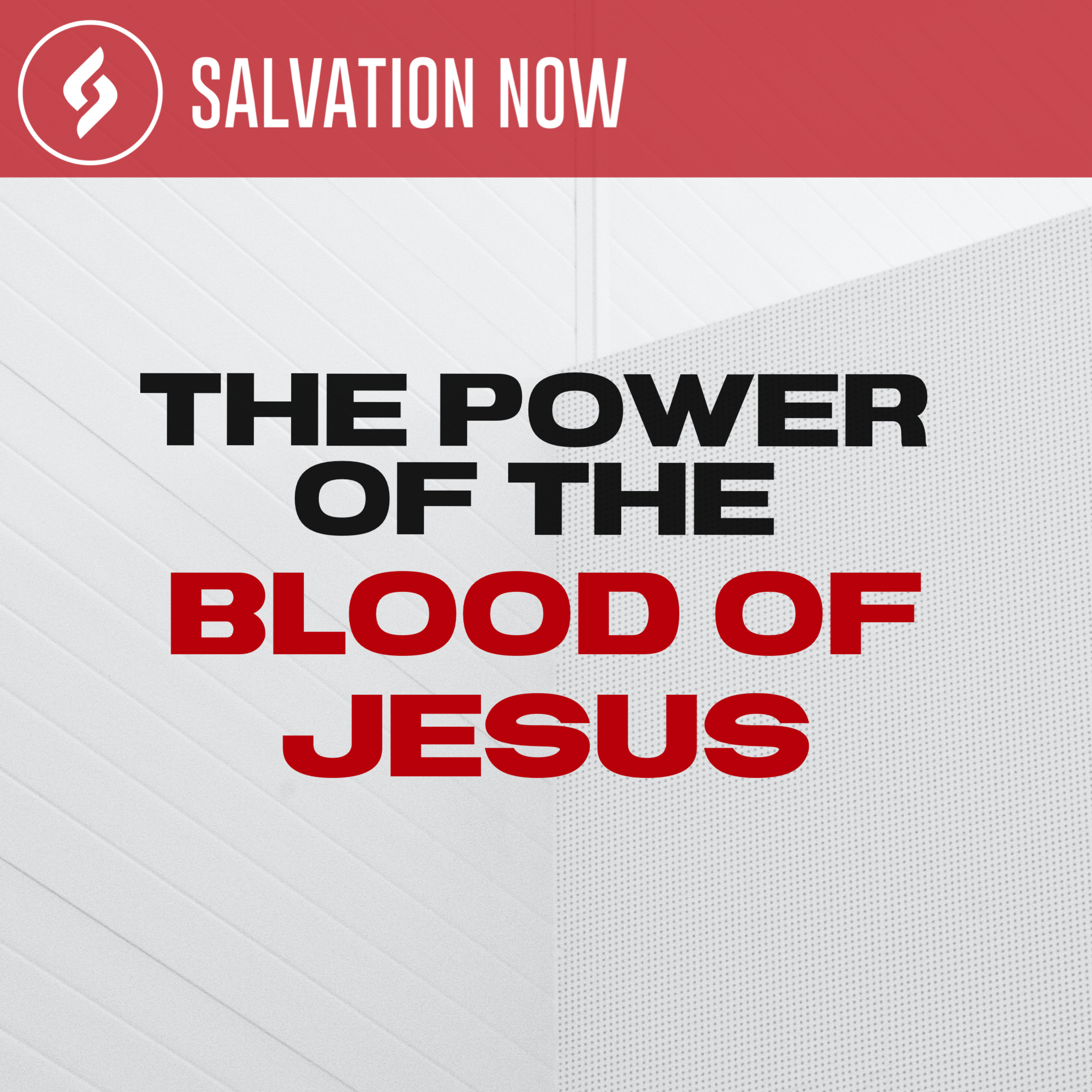 TJ Malcangi - Salvation Now