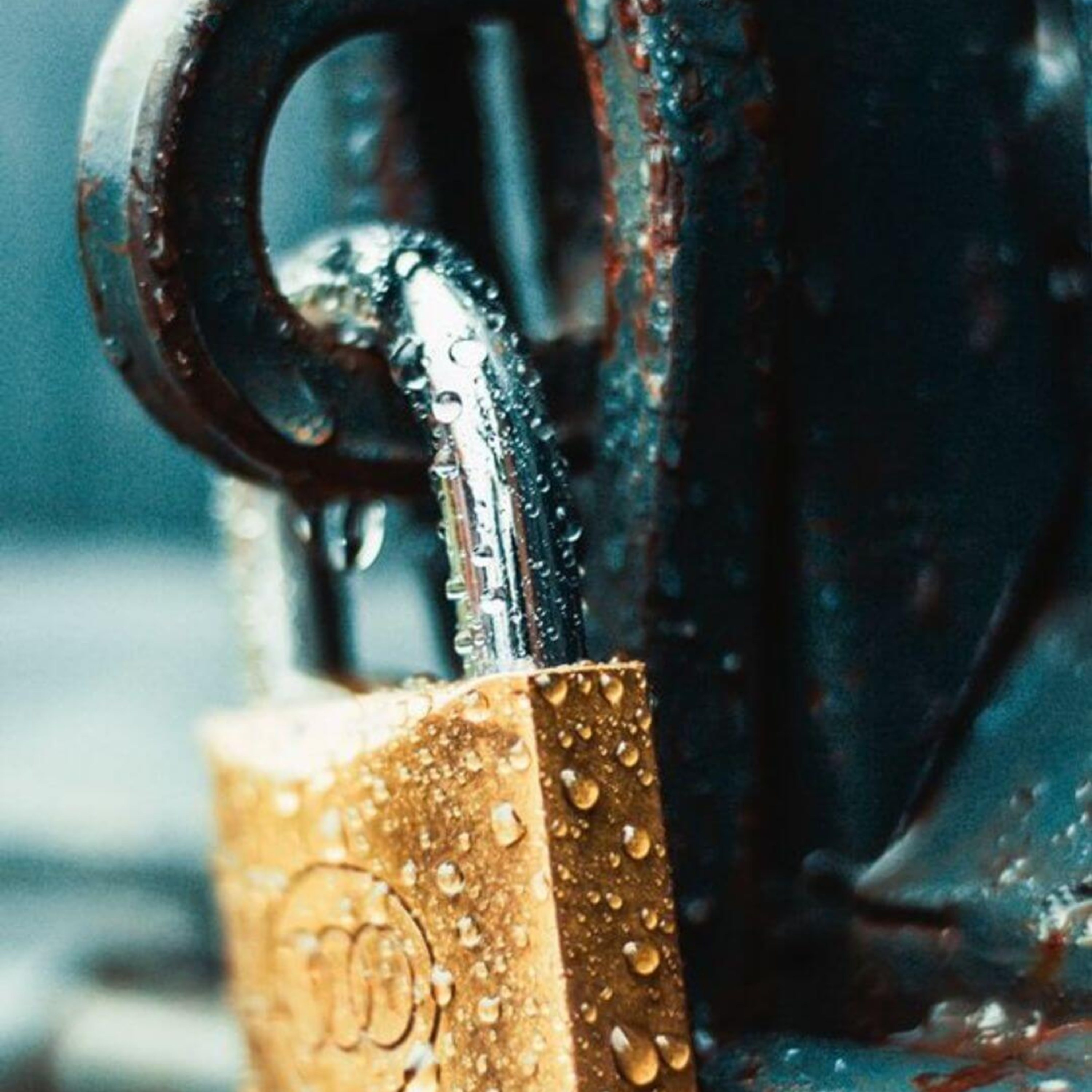 Implications of the scourge (covid 19)