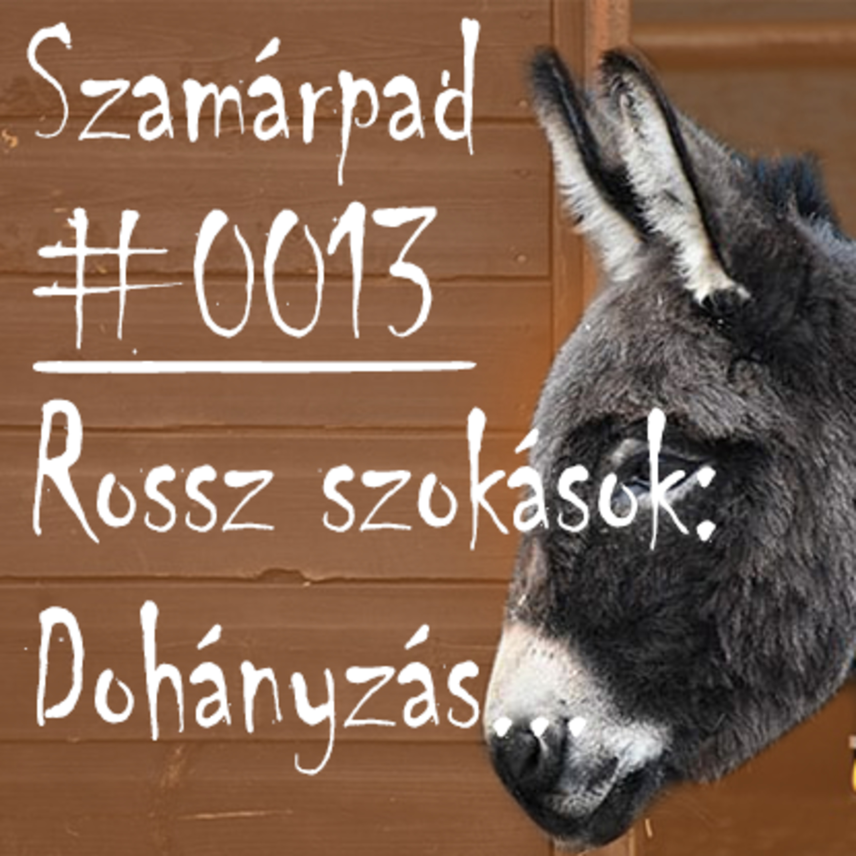 Szamárpad Csatorna