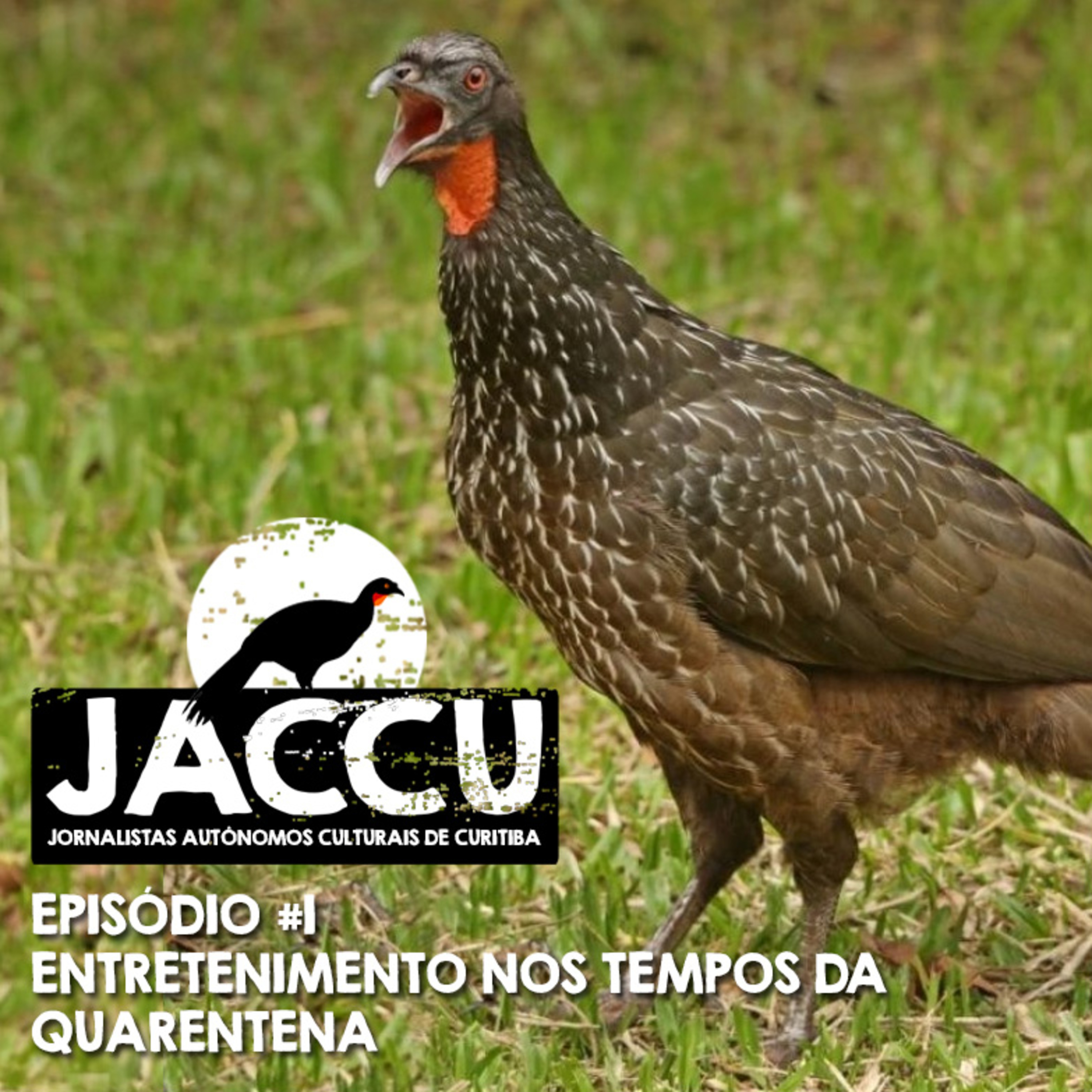 JACCU - Jornalistas Autônomos Culturais de Curitiba