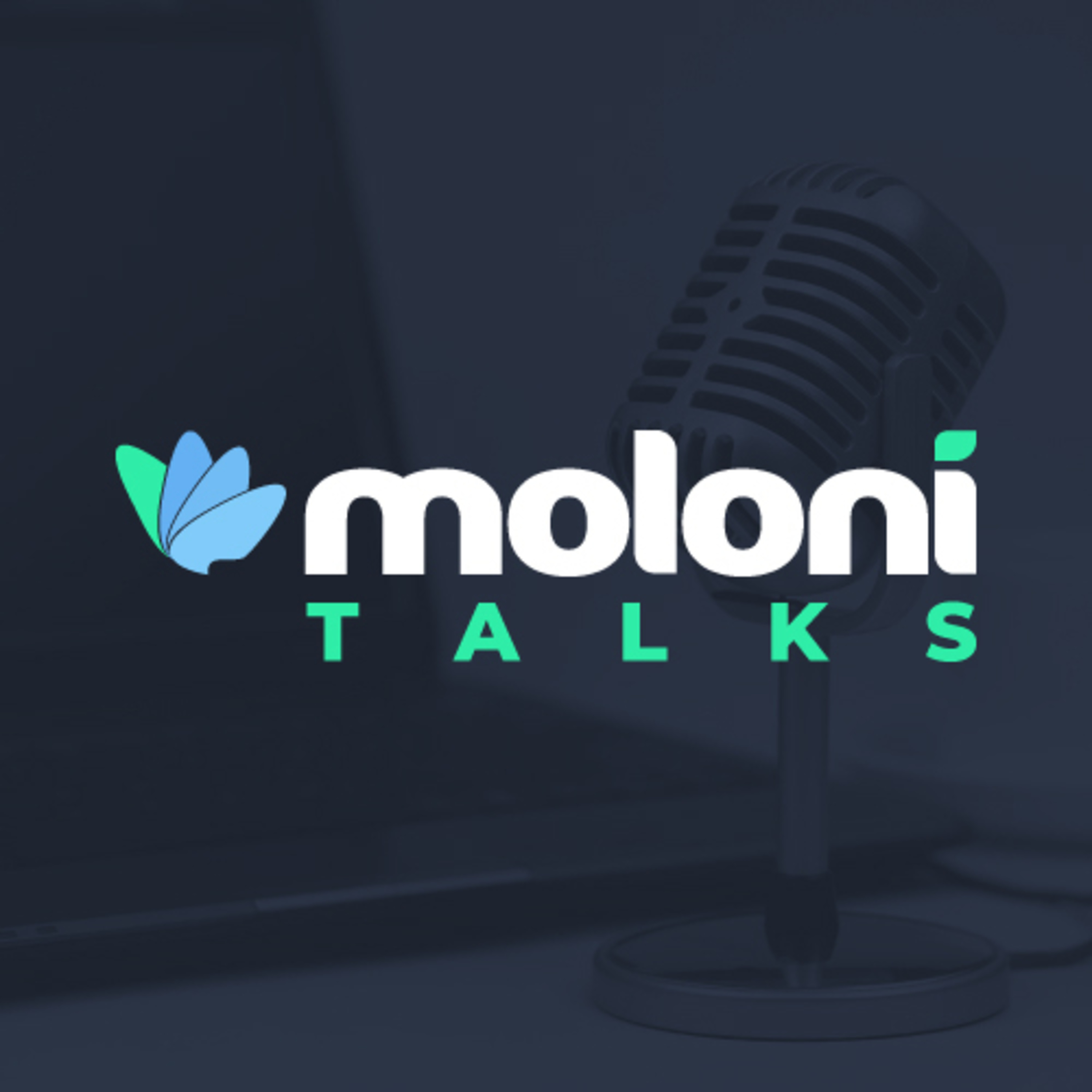 Moloni Talks