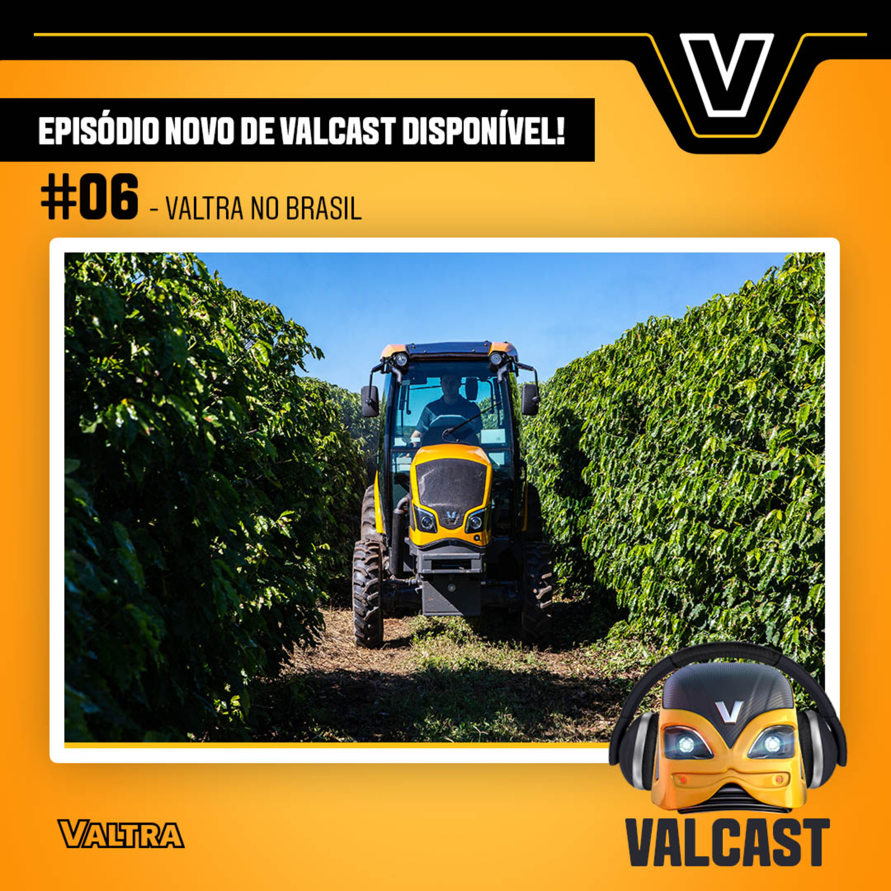 Valcast