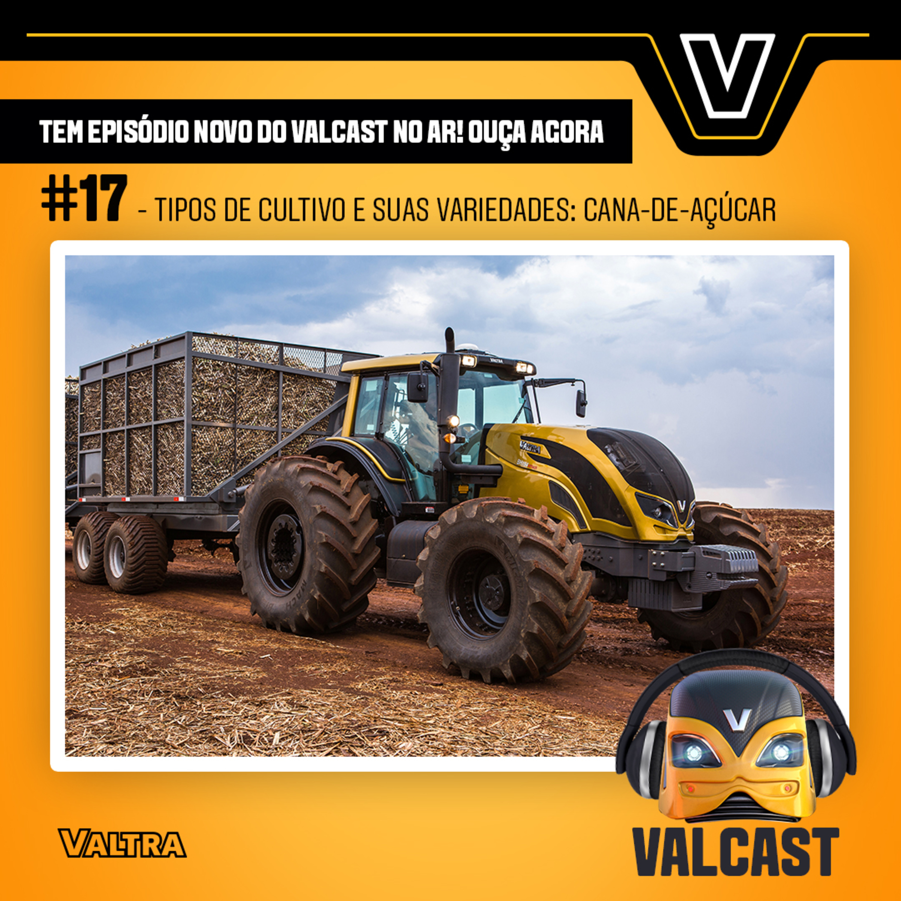Valcast