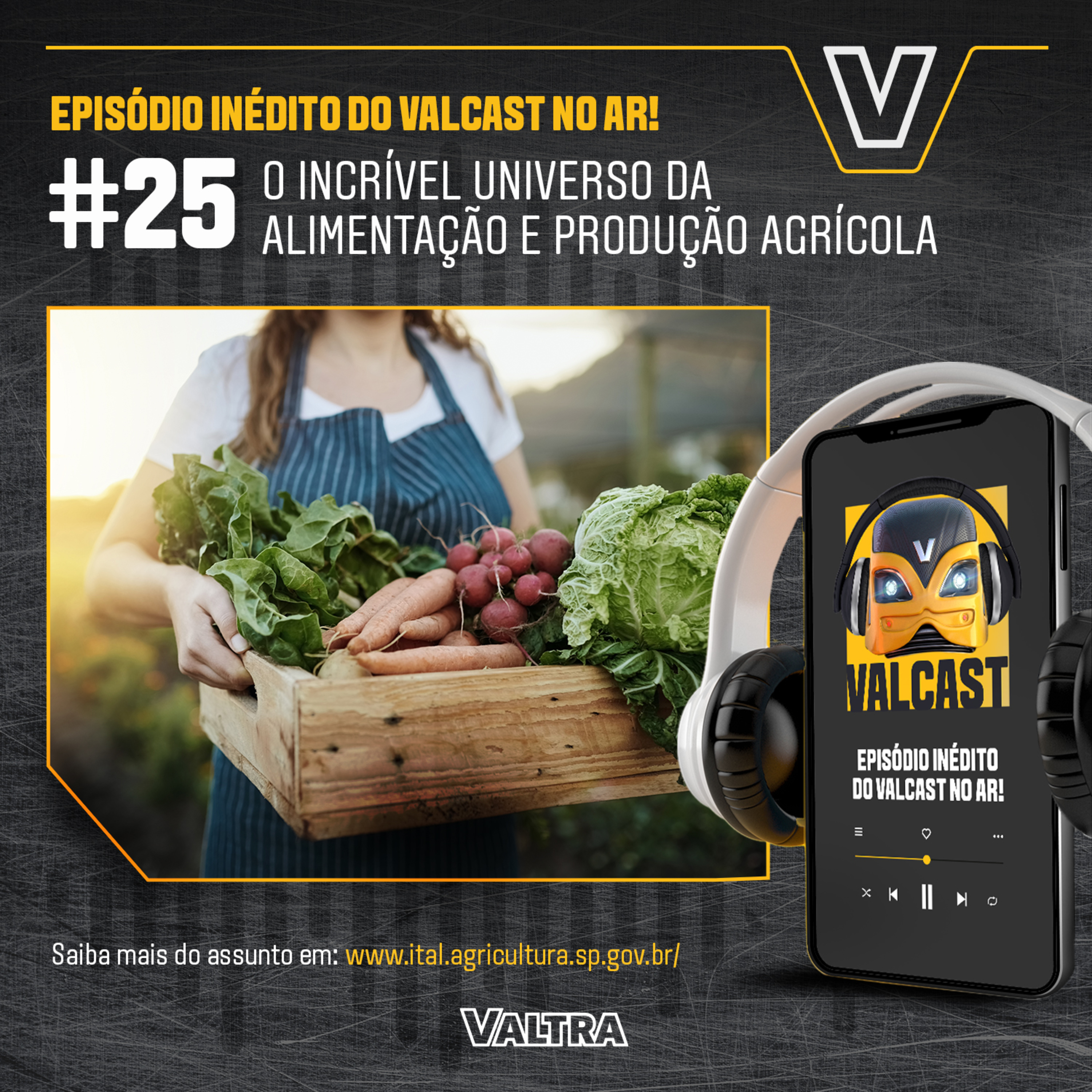 Valcast