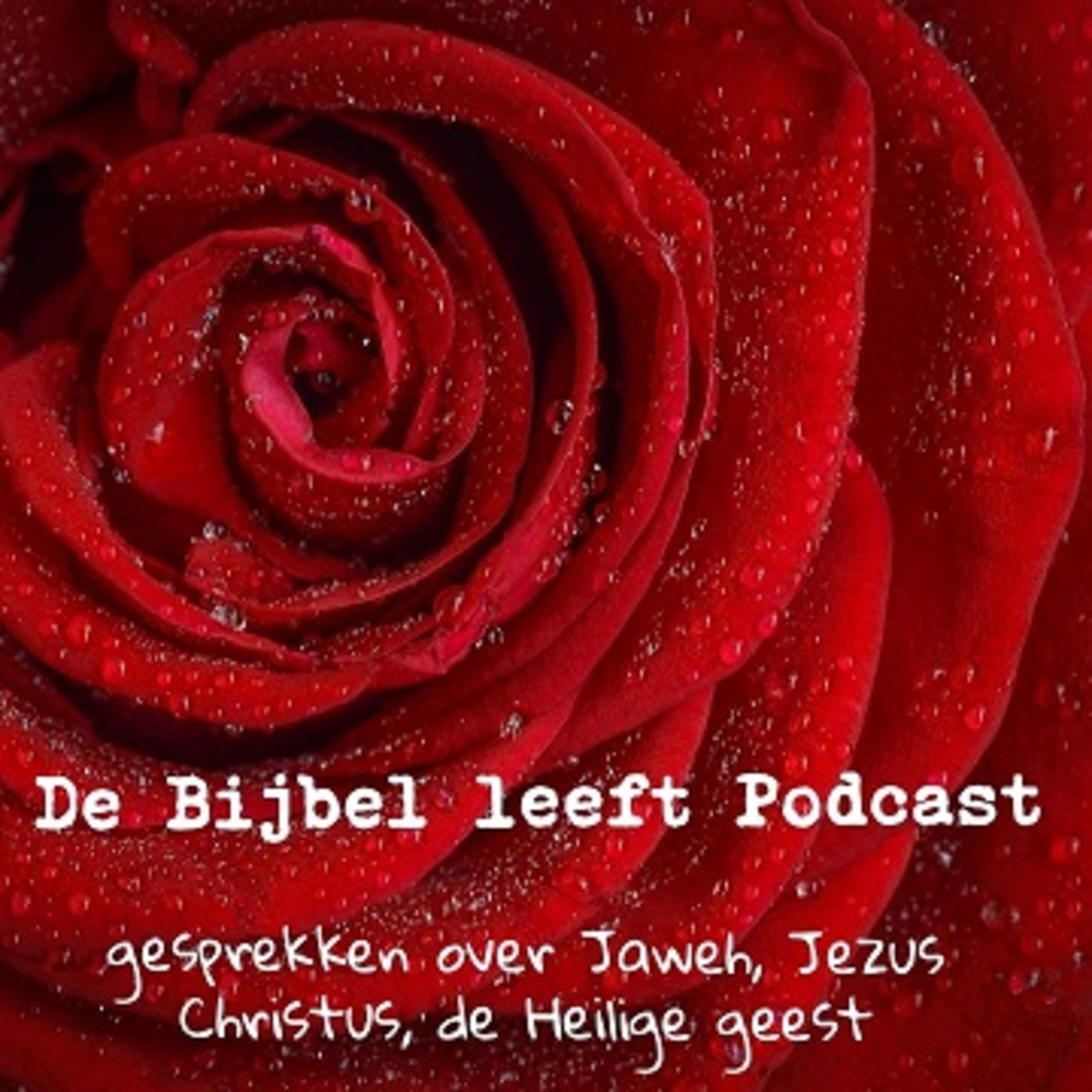 God is Liefde De Bijbel Leeft