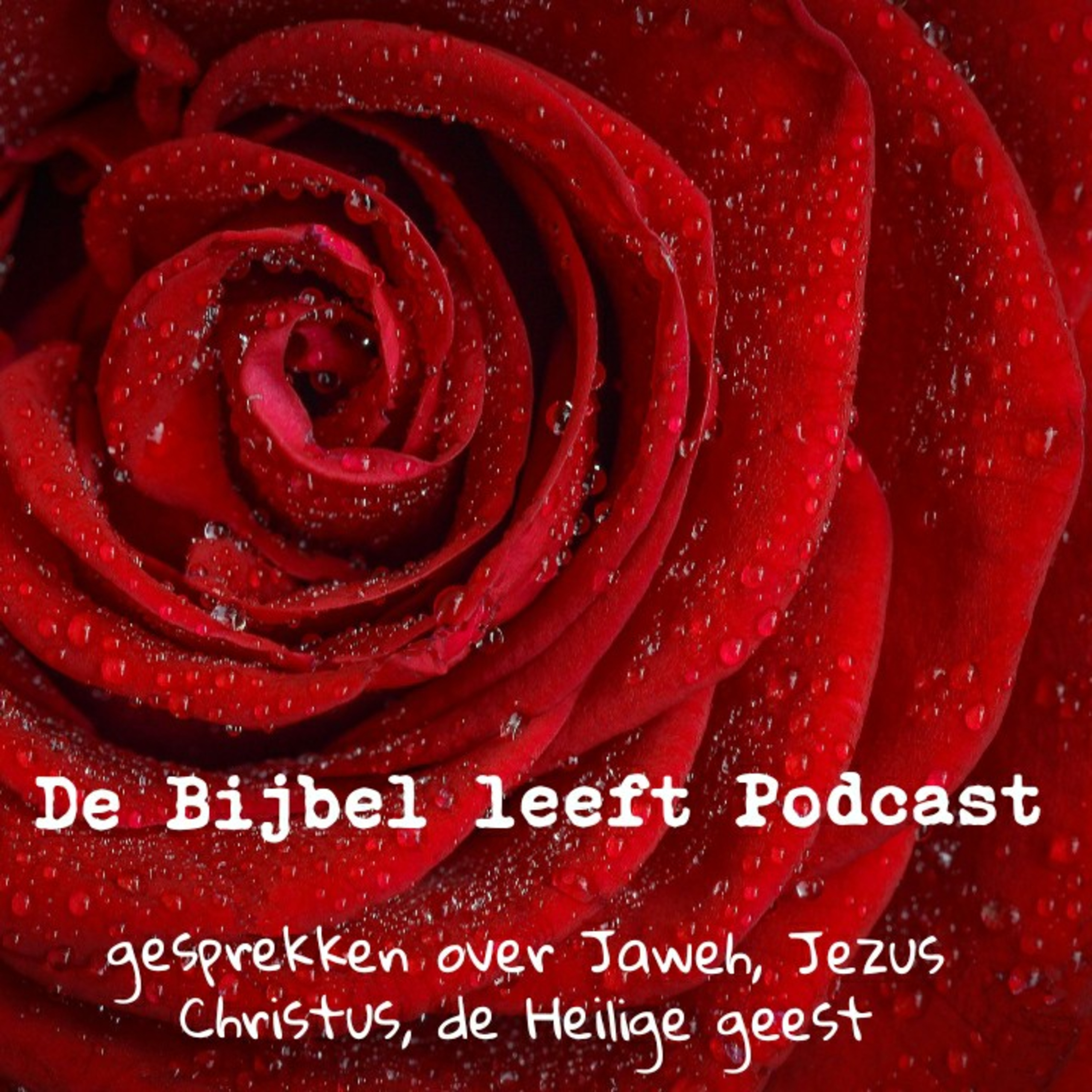 God is Liefde De Bijbel Leeft