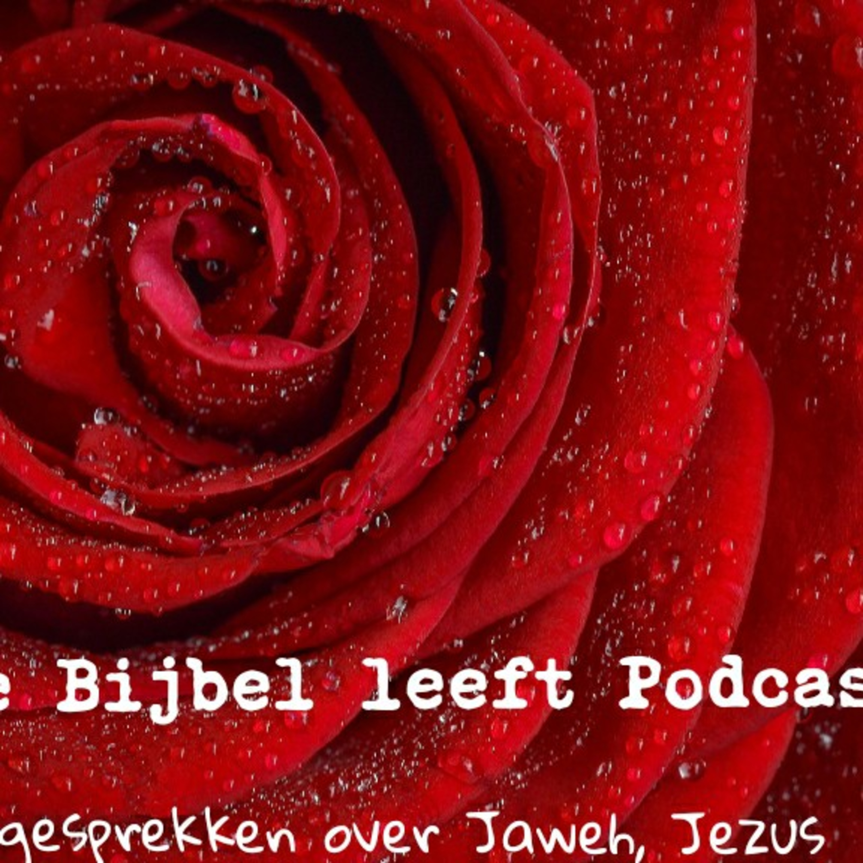 God is Liefde De Bijbel Leeft