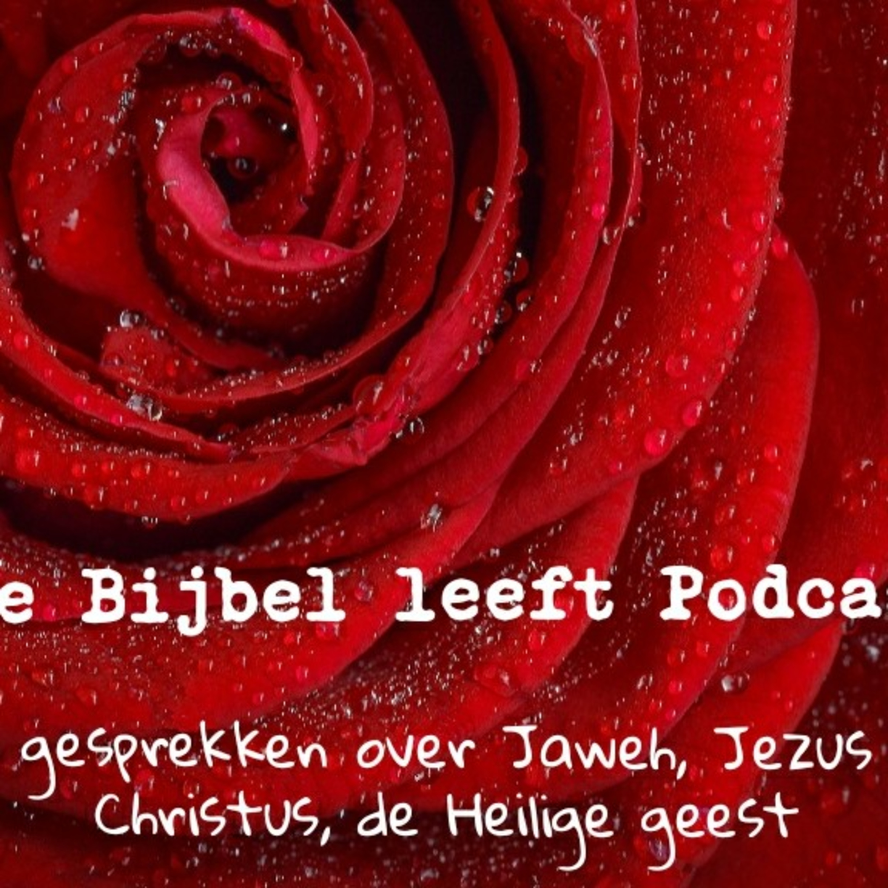 God is Liefde De Bijbel Leeft