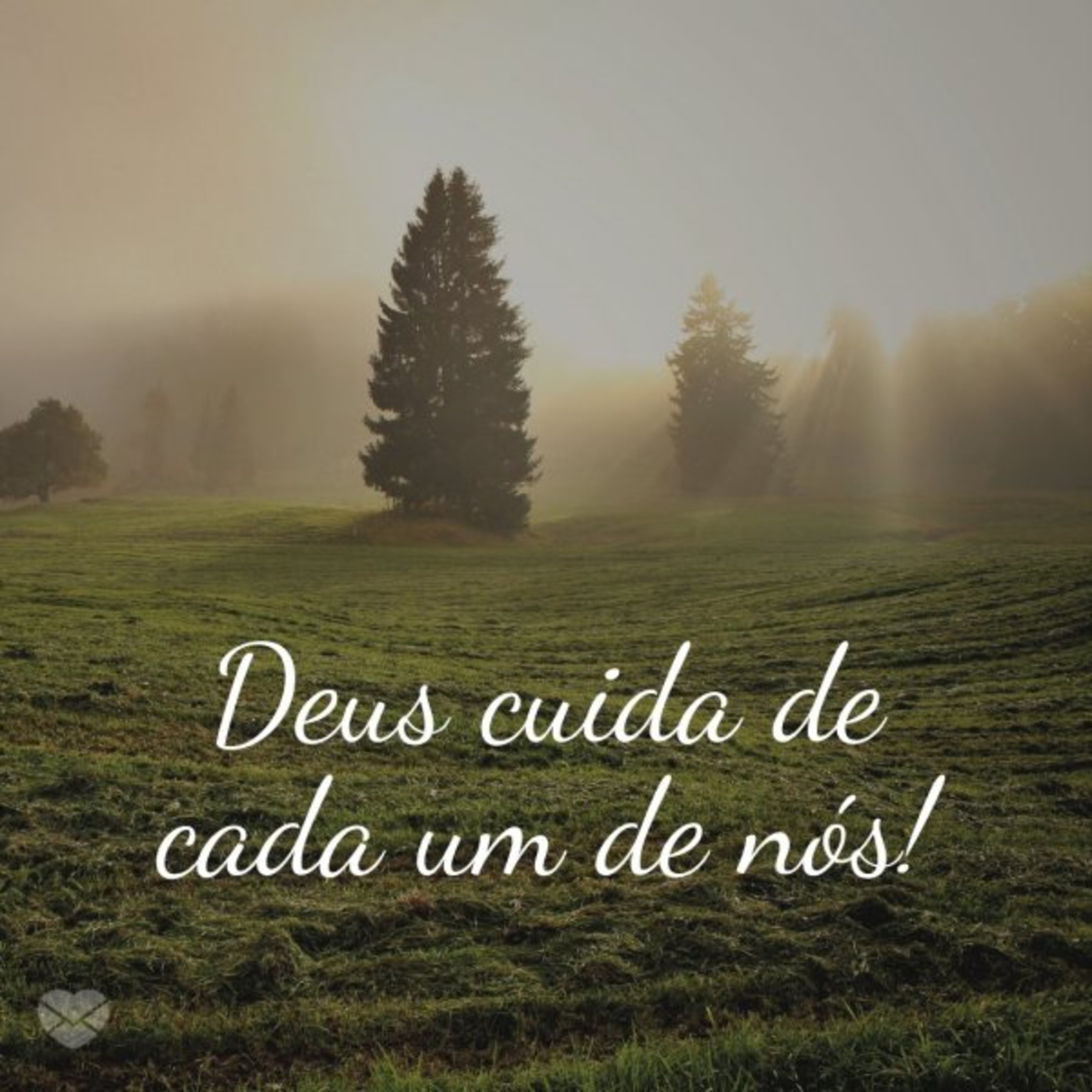 FALANDO A VERDADE