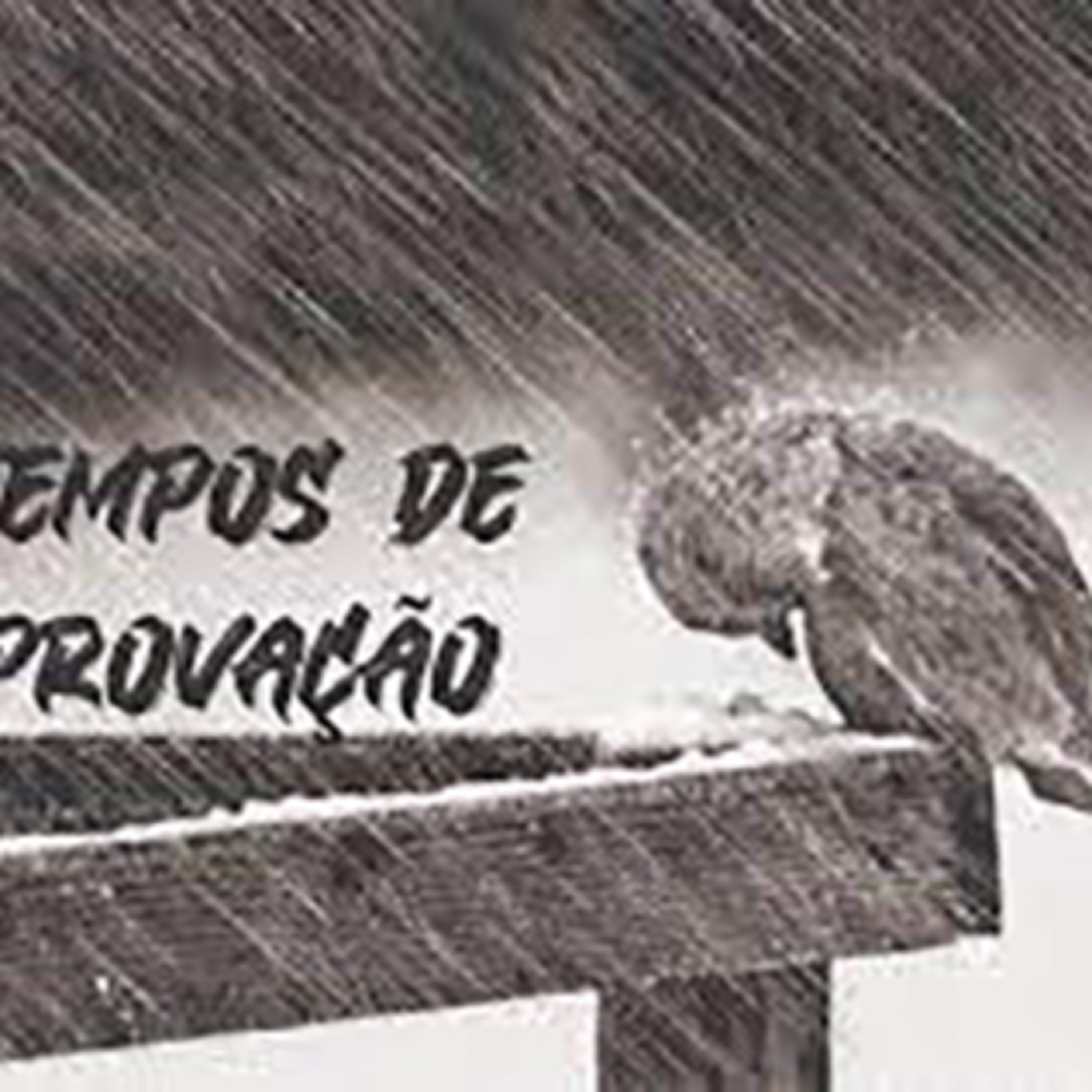 FALANDO A VERDADE