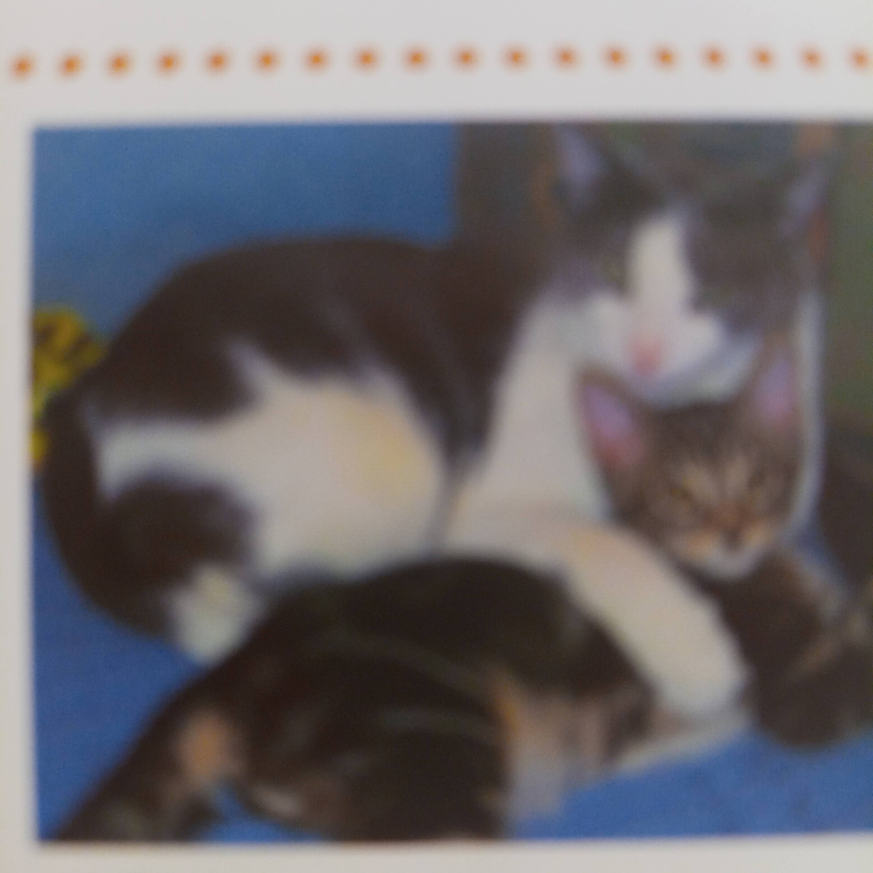 1st Thank YOU For Loving The Little Kitties! Song episode artwork