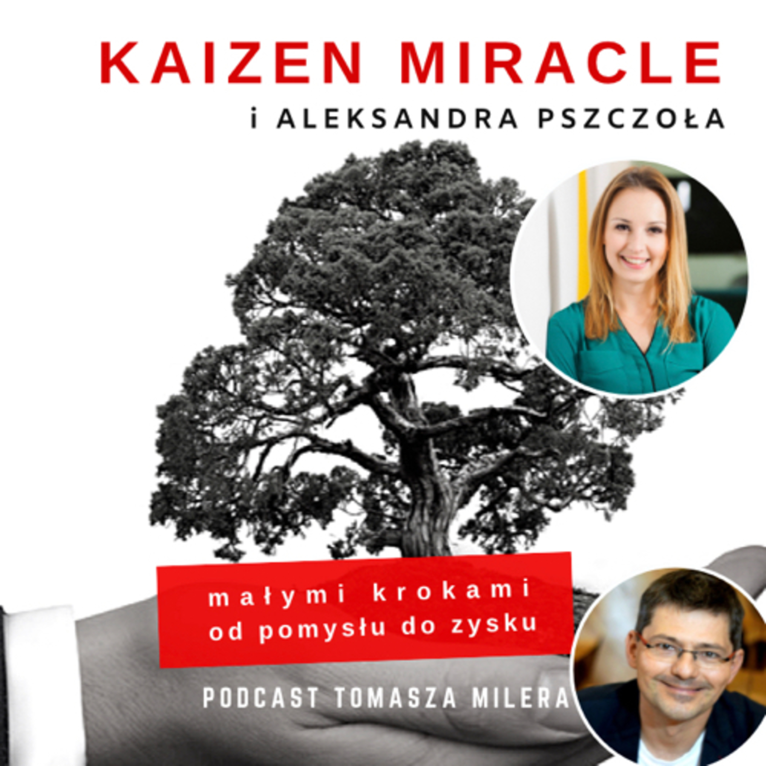 Odc.31. Jak wprowadzać elementy kultury turkusowej do firm? Rozmowa z Aleksandrą Pszczołą. episode artwork