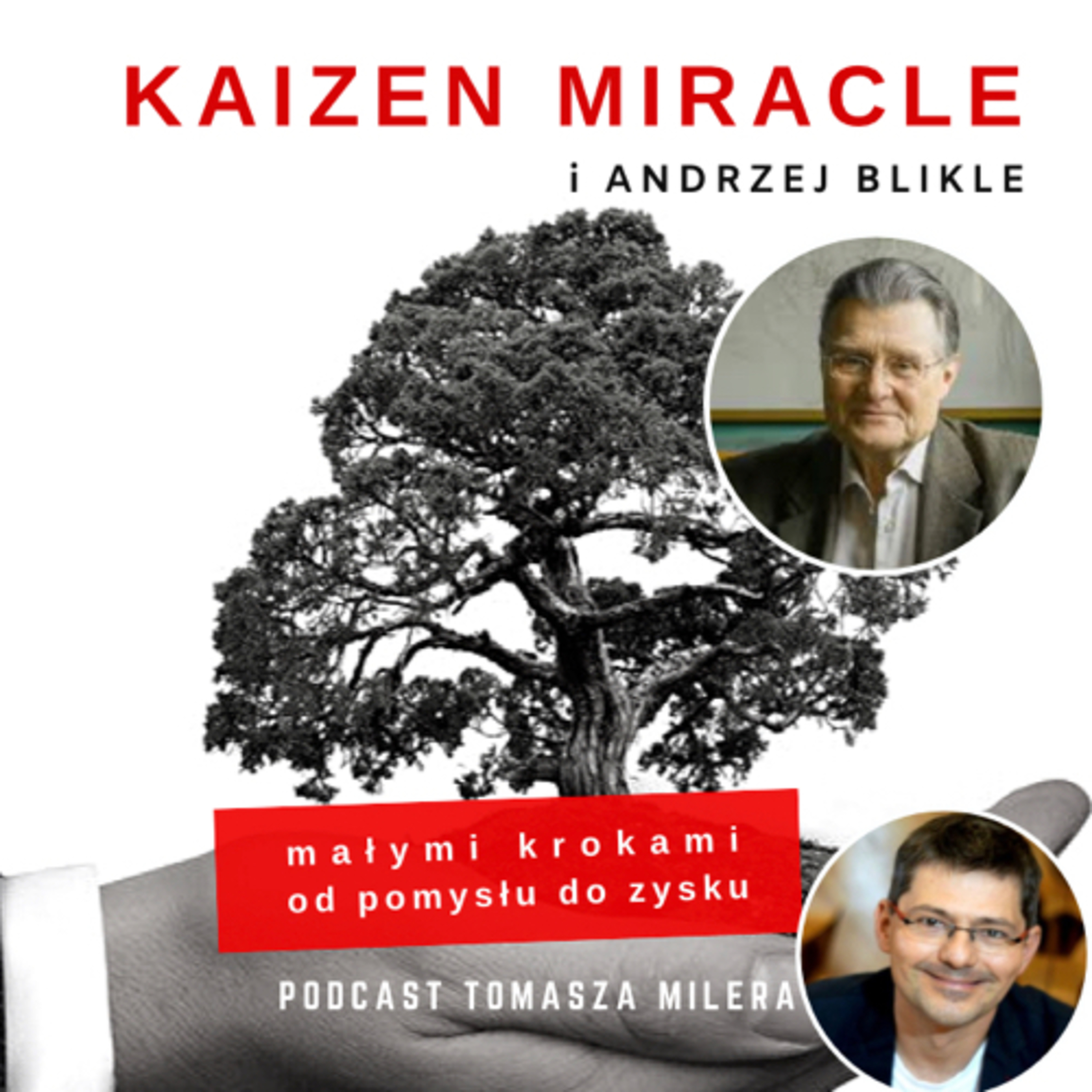 KM 41. Jak wprowadzać turkus w firmach? Rozmowa z prof. Andrzejem Blikle episode artwork